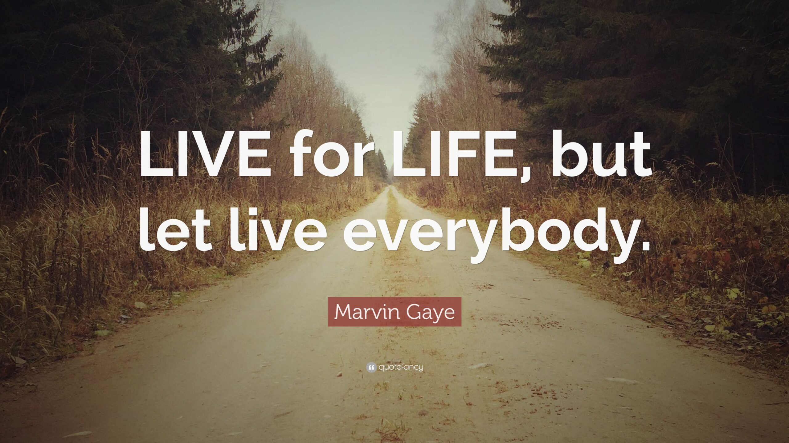 Marvin Gaye Quote: “LIVE for LIFE, but let live everybody.”