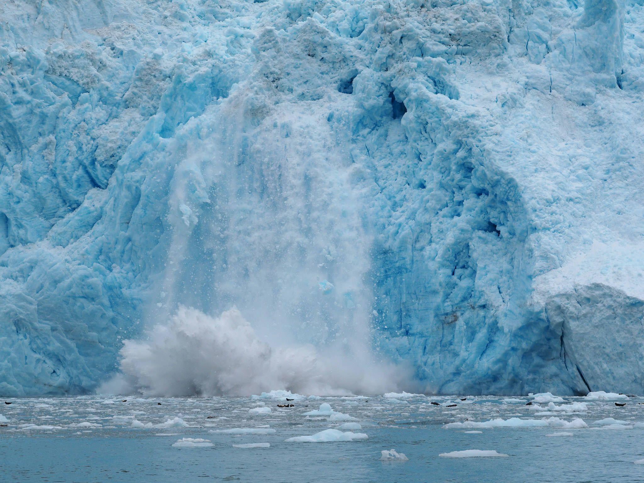 Kenai Fjords Tours