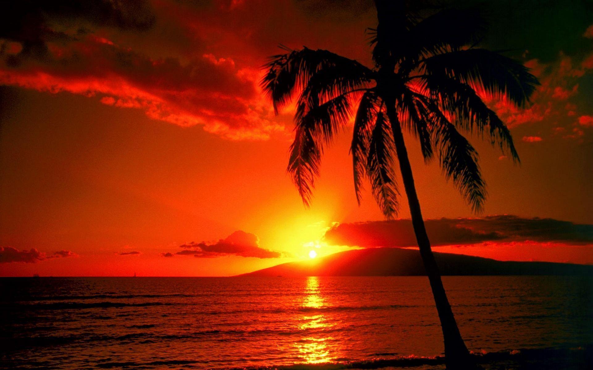 Sunset Beach HD Wallpapers