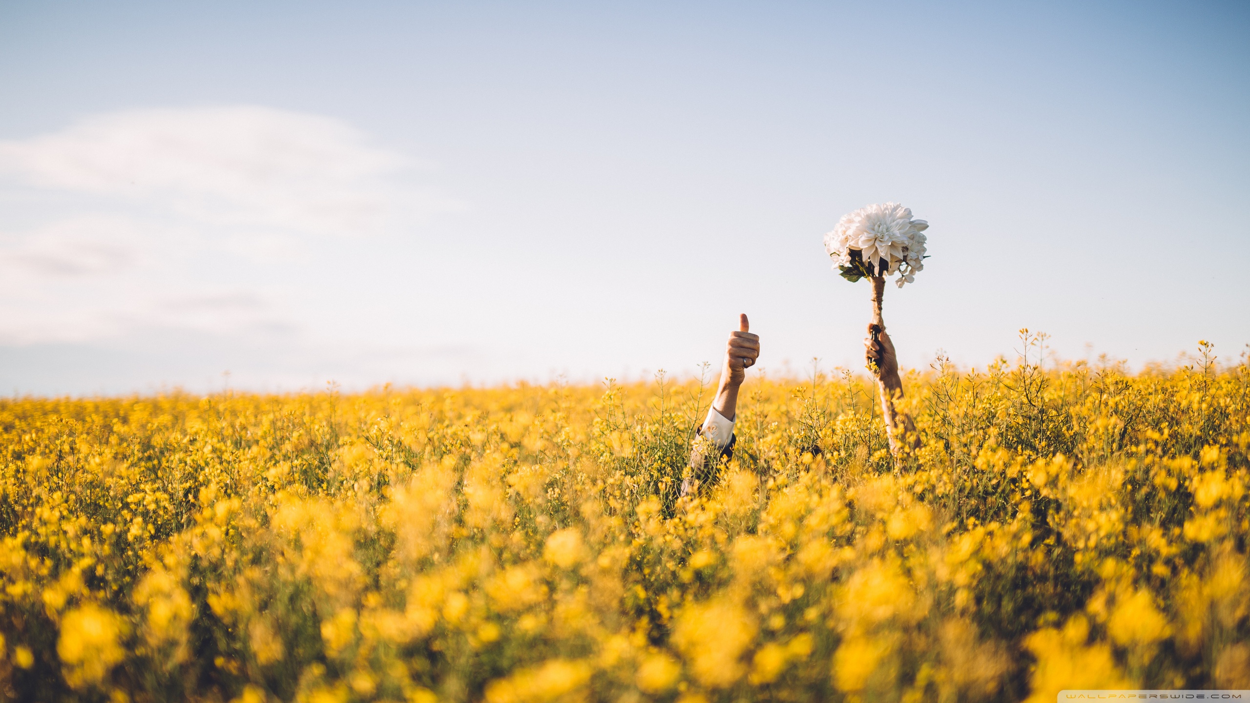 Just Married ❤ 4K HD Desktop Wallpapers for 4K Ultra HD TV • Wide