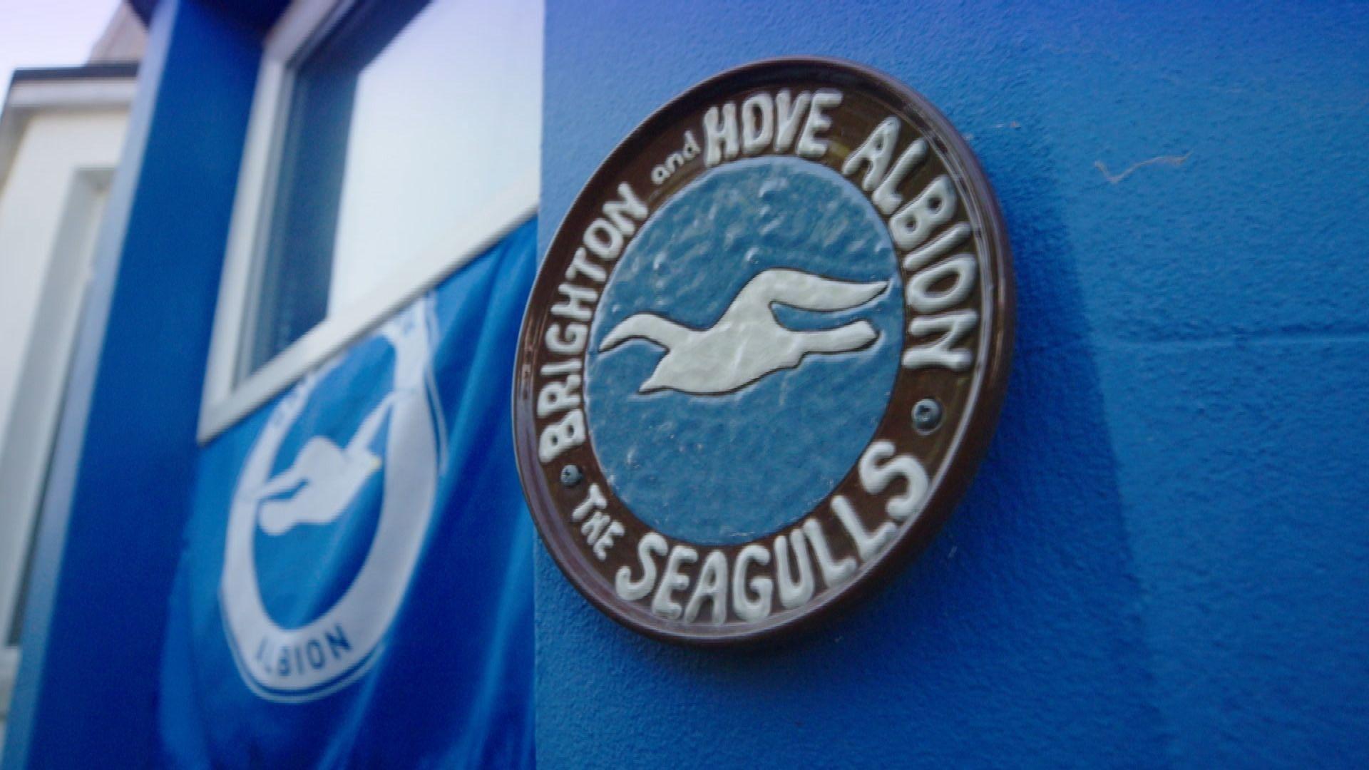 Brighton & Hove Albion’s ascent to the Premier League