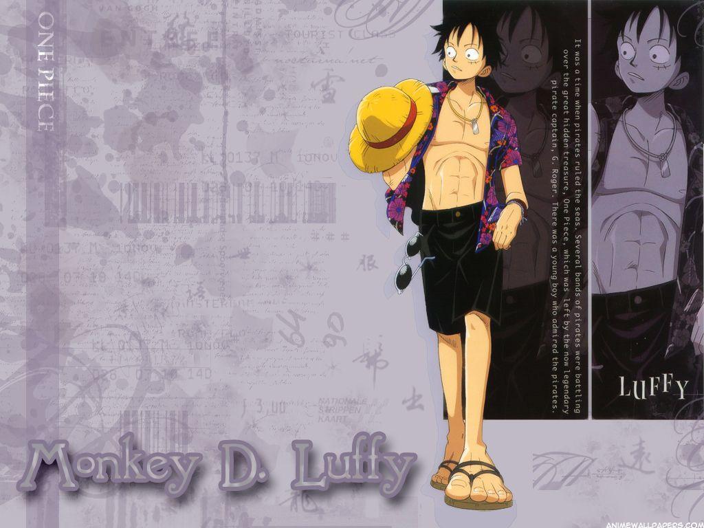 Monkey D Luffy Wallpapers : One Piece Crew Monkey D Luffy