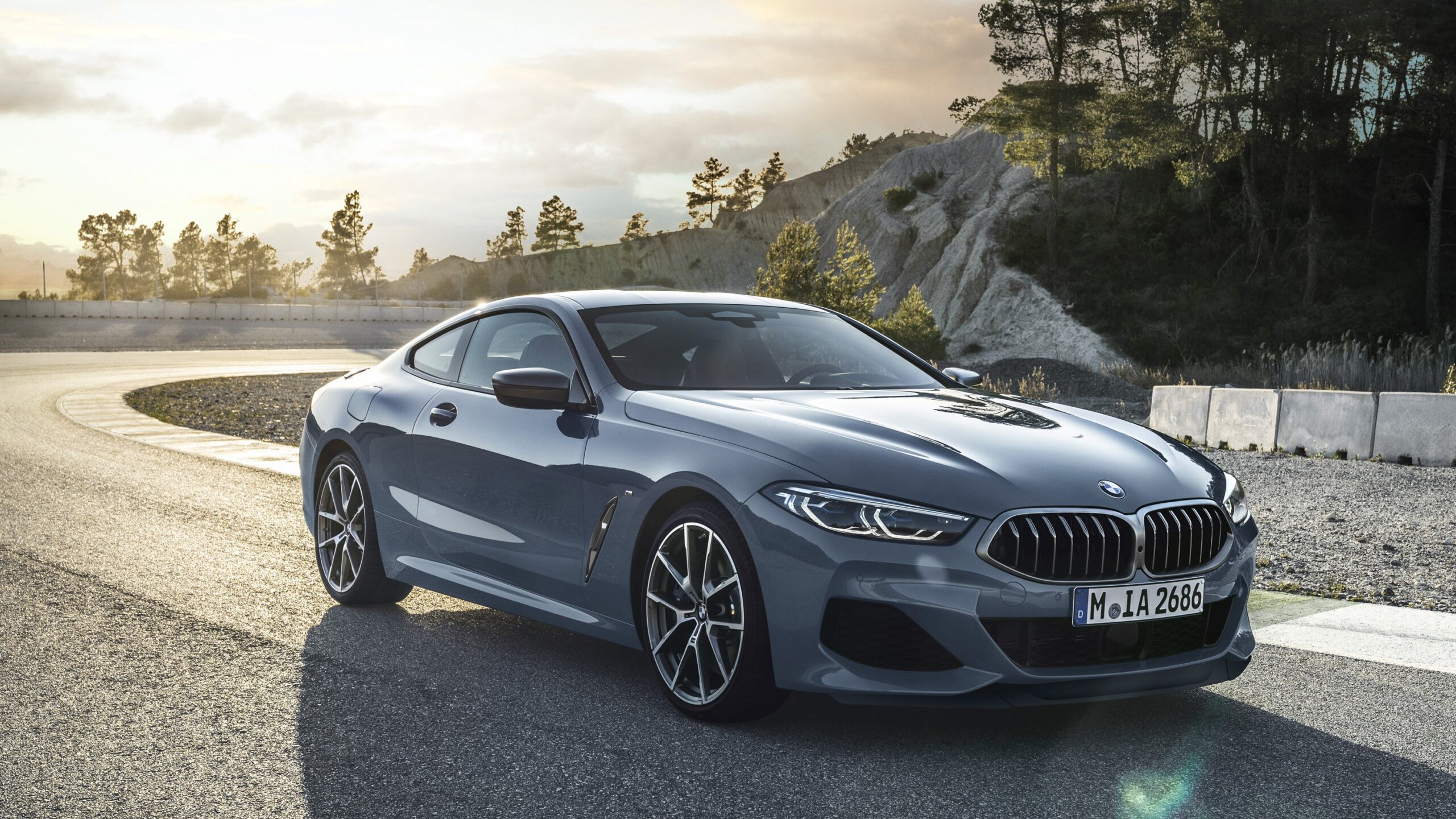 2019 BMW 8 Series Pictures, Photos, Wallpapers.