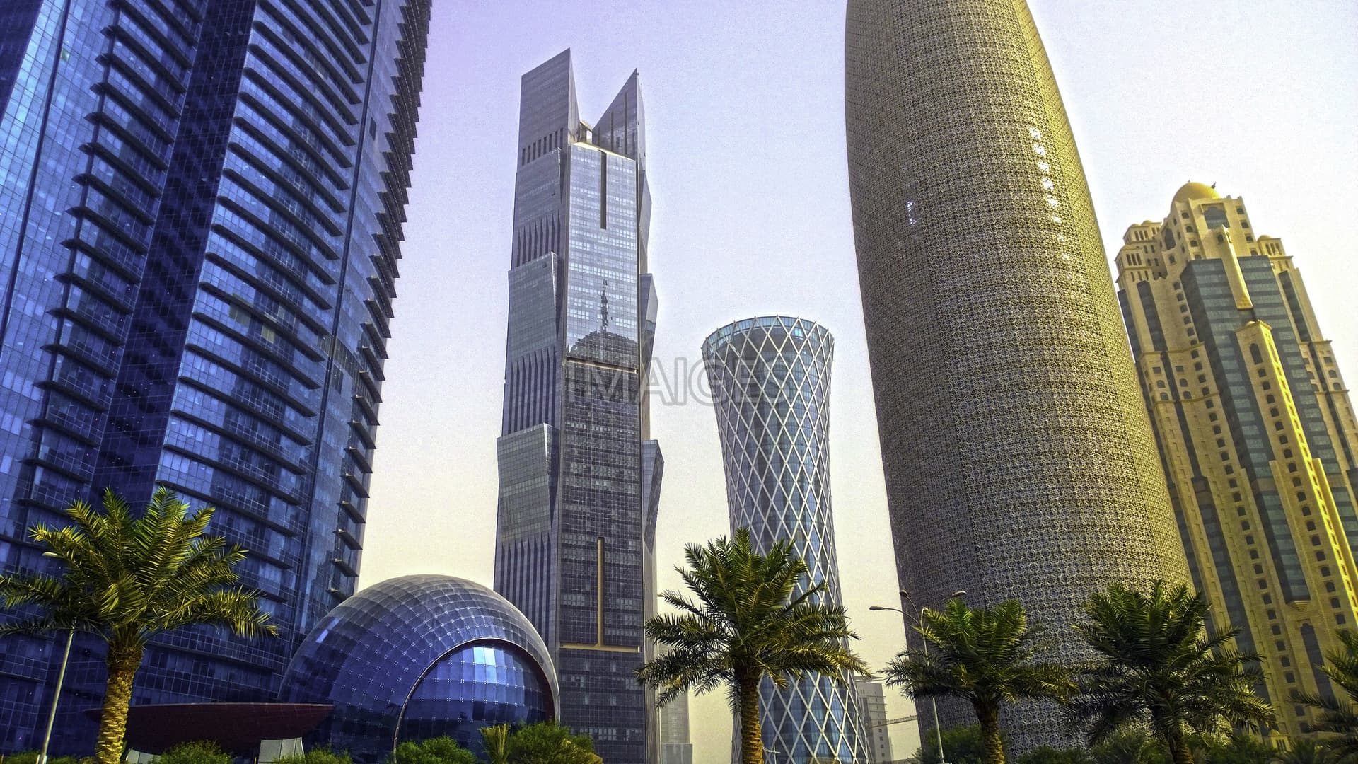 Parrots and birds on the streets in Doha, Qatar