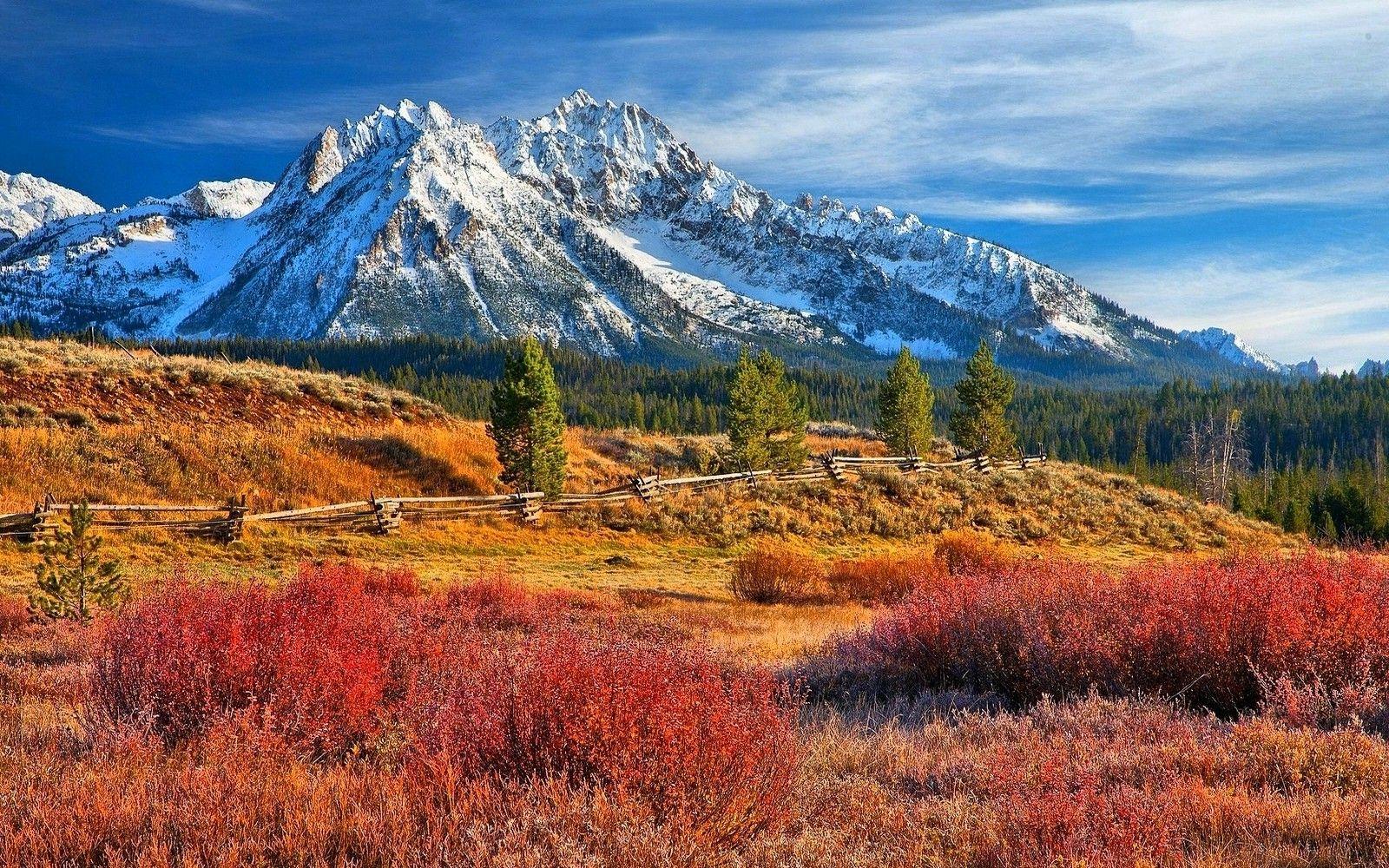 nature, Landscape, Snowy Peak, Forest, Grass, Mountain, Fence