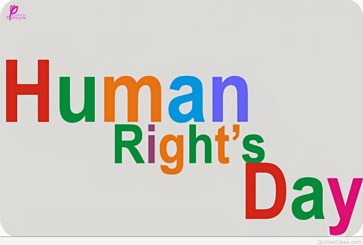 30 Human Rights Day Wish Pictures And Photos