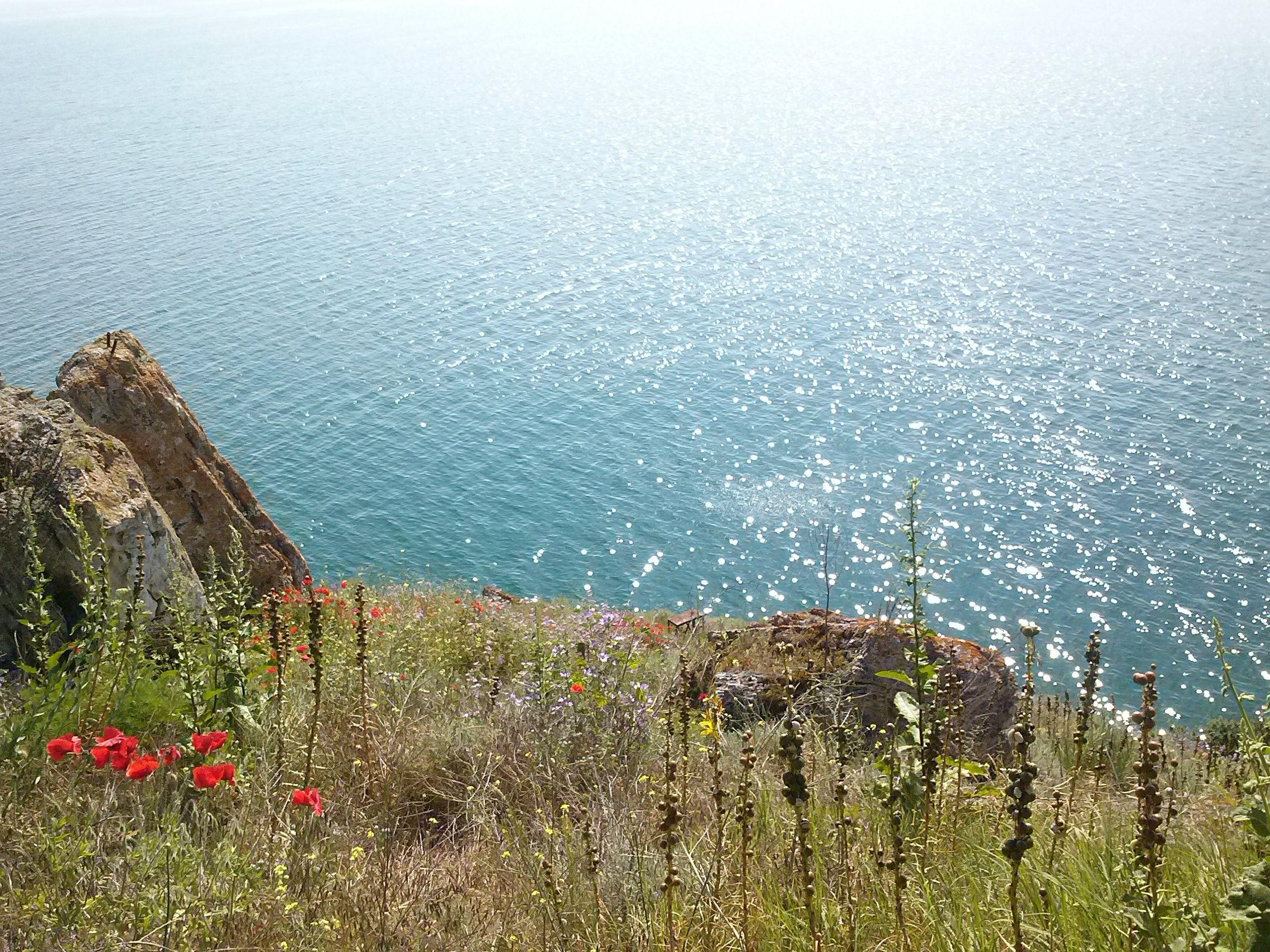 nature, Landscape, Bulgaria, Flowers, Sea Wallpapers HD / Desktop