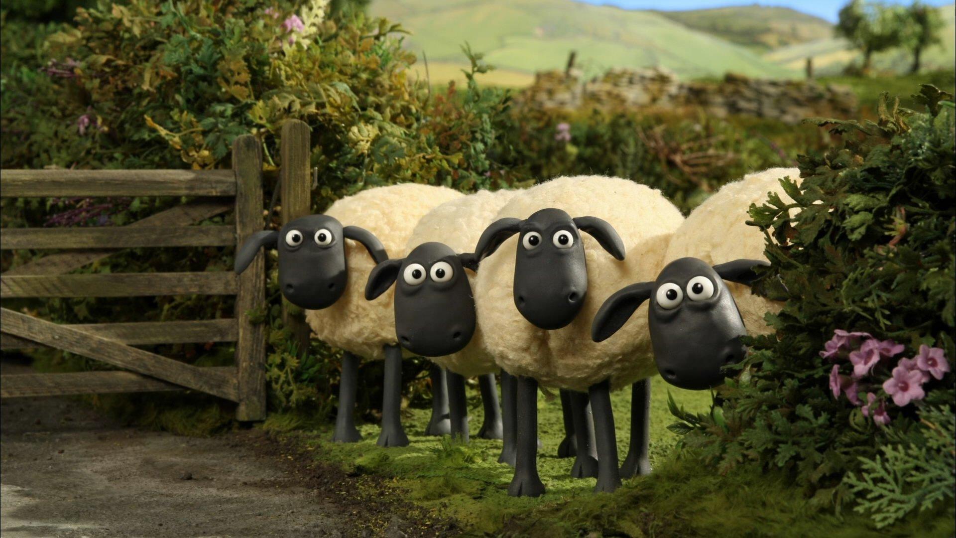 Shaun The Sheep Wallpapers