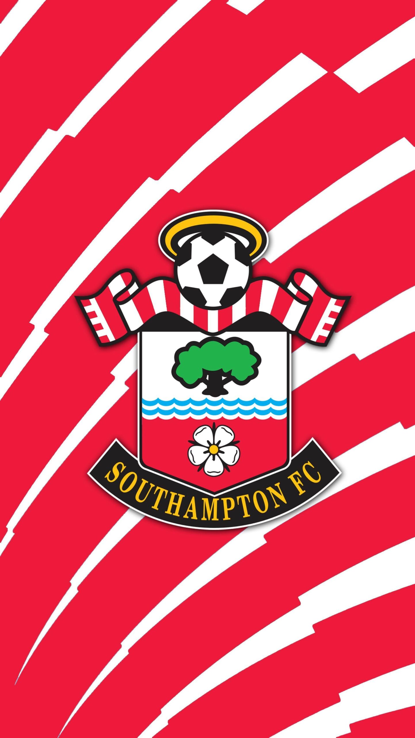 Southampton FC Premier League 1617 iPhone HD desktop wallpapers