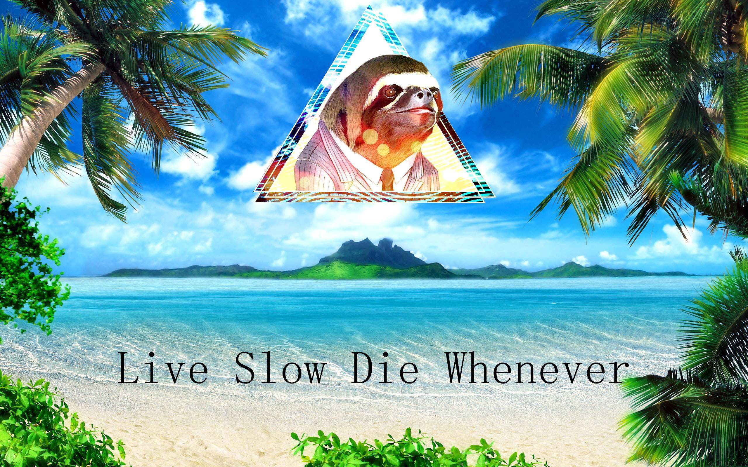 Live Slow, Die Whenever. : sloths