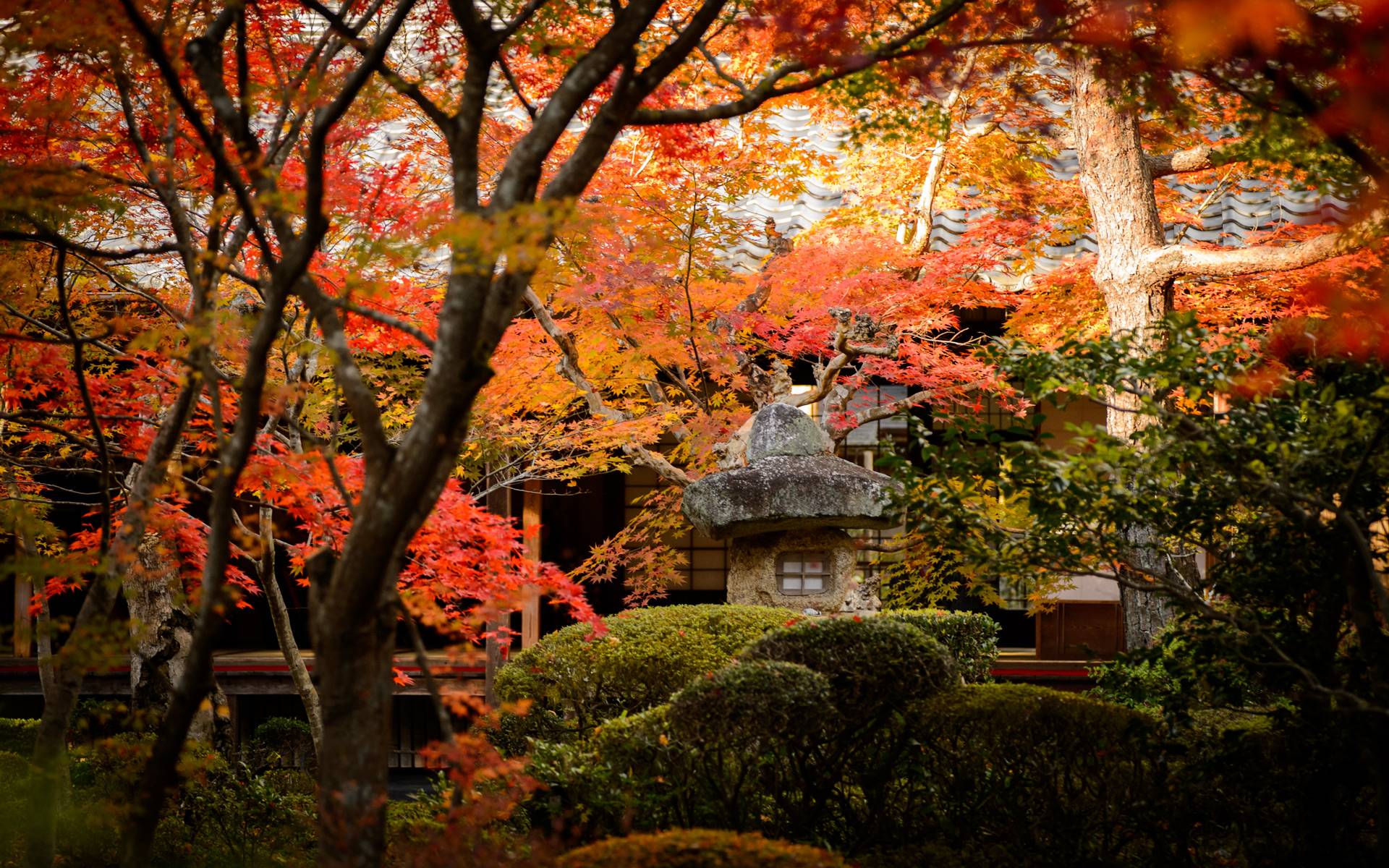 Beautiful Kyoto Wallpapers 19560