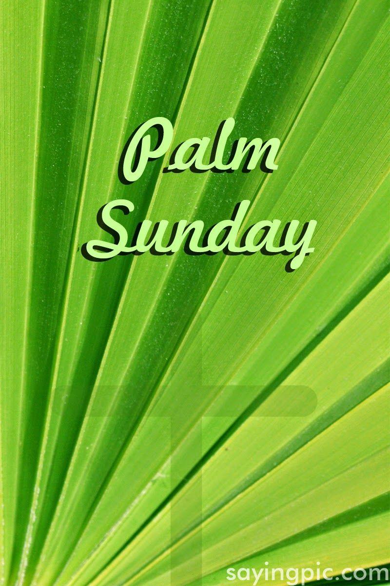 Palm Sunday: Quotes, image and wallpapers for Celebration of Palm