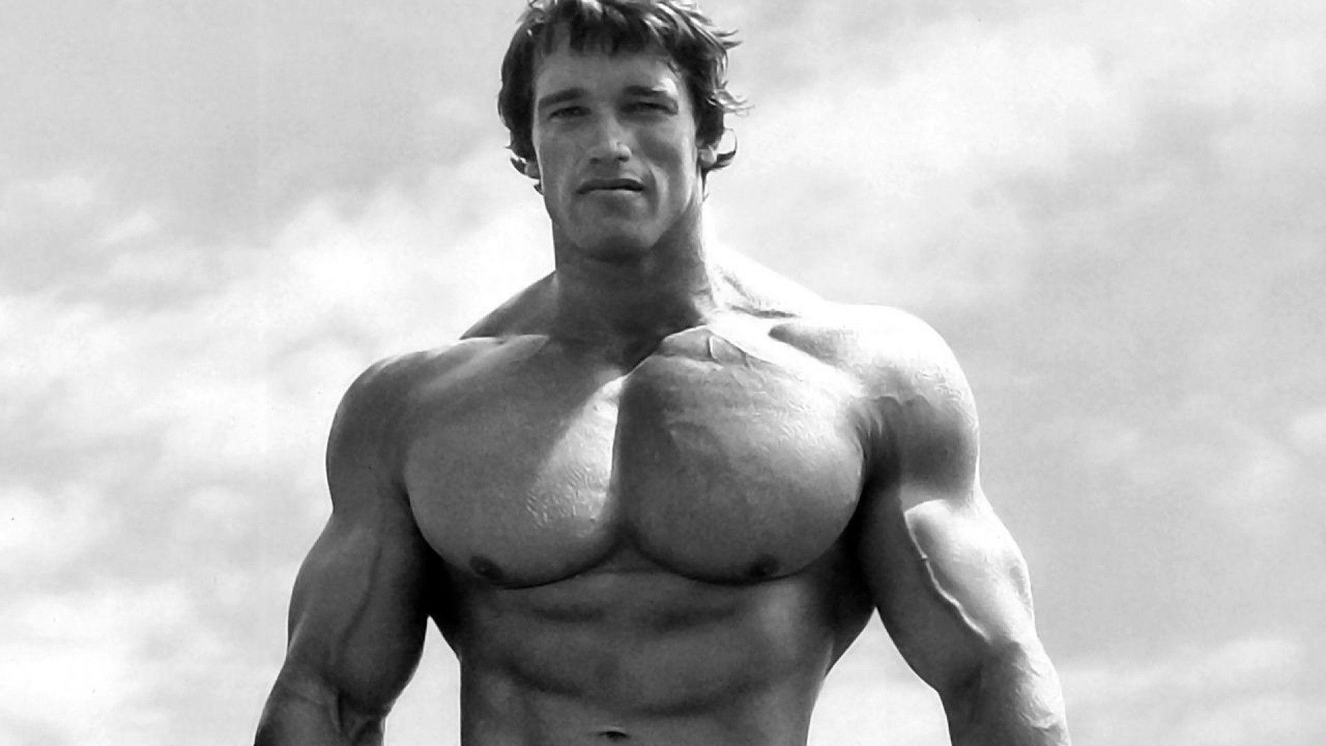 Image For > Arnold Schwarzenegger Wallpapers