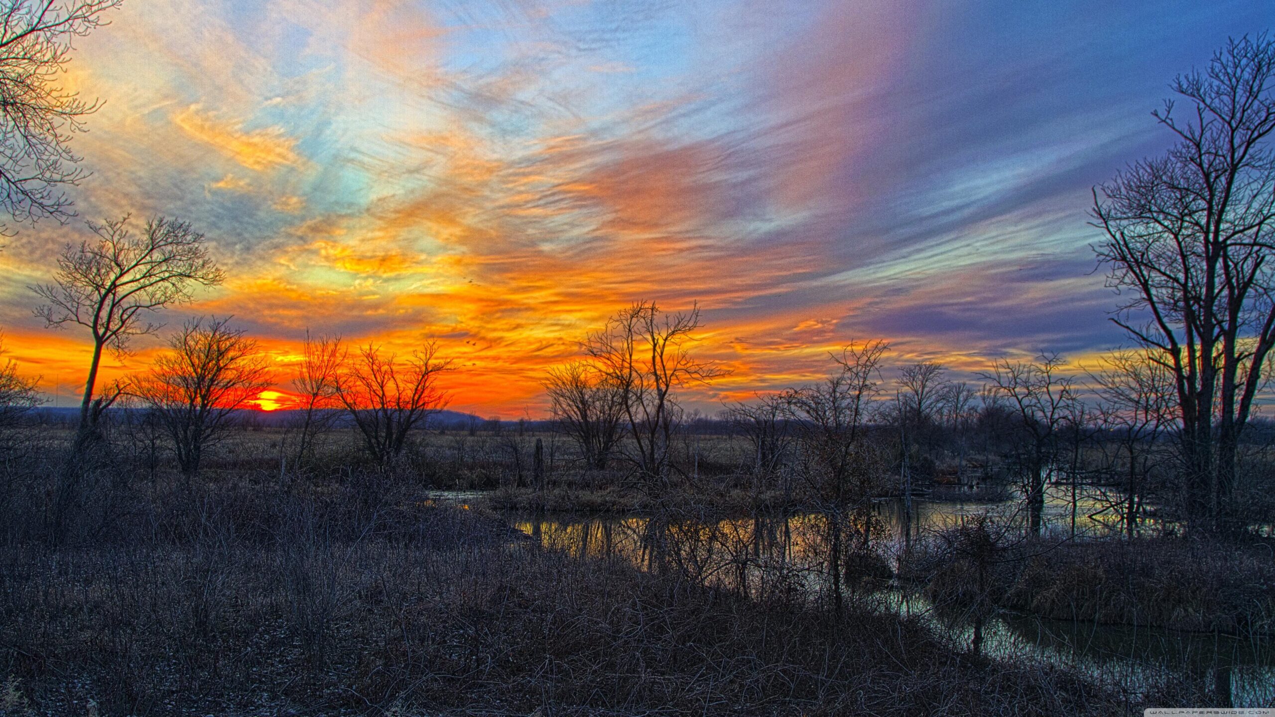 Baker Wetlands ❤ 4K HD Desktop Wallpapers for 4K Ultra HD TV • Wide