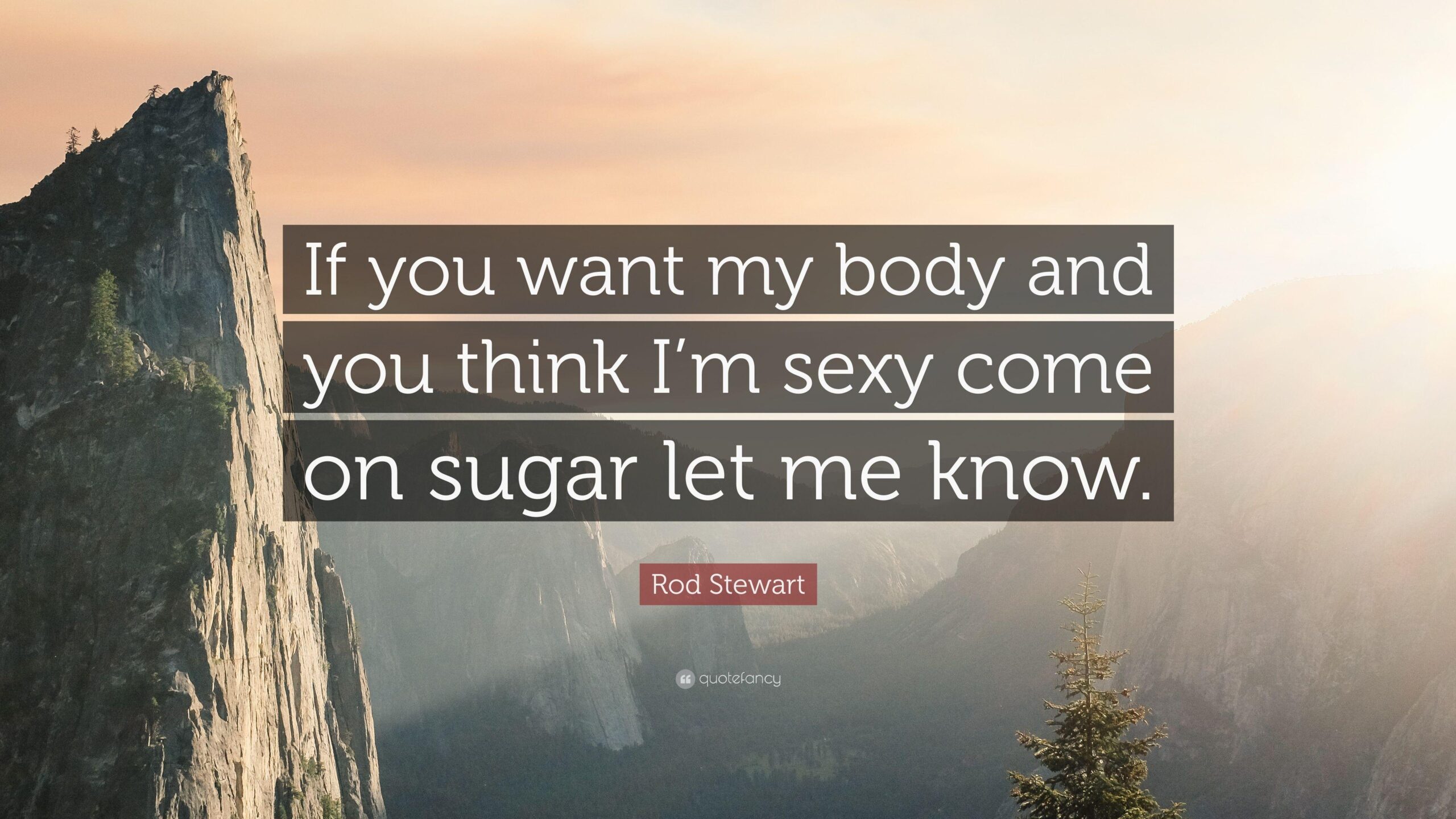 Rod Stewart Quote: “If you want my body and you think I’m sexy