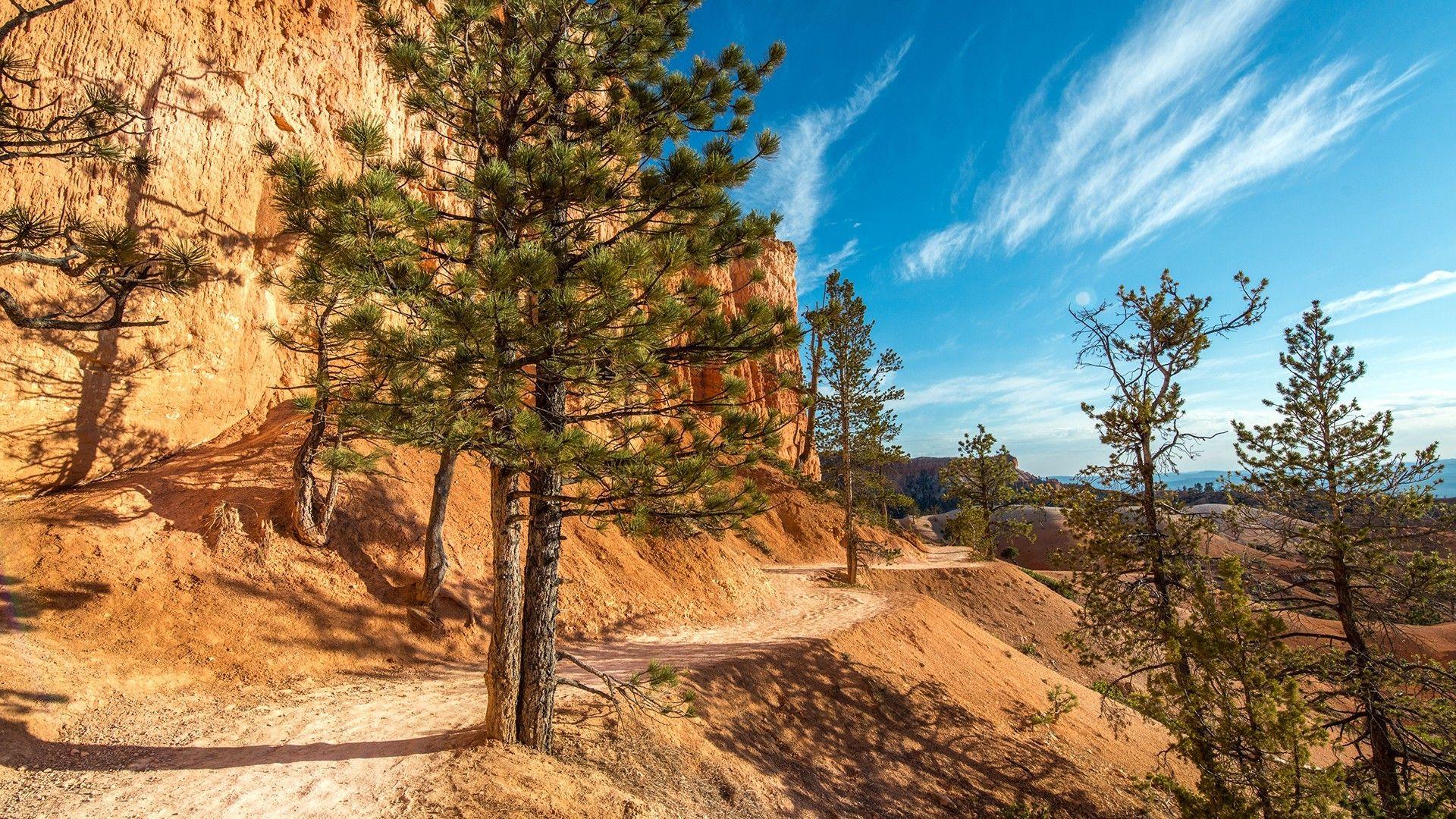 Bryce Canyon National Park, Nature, Landscape, Desert, Trees