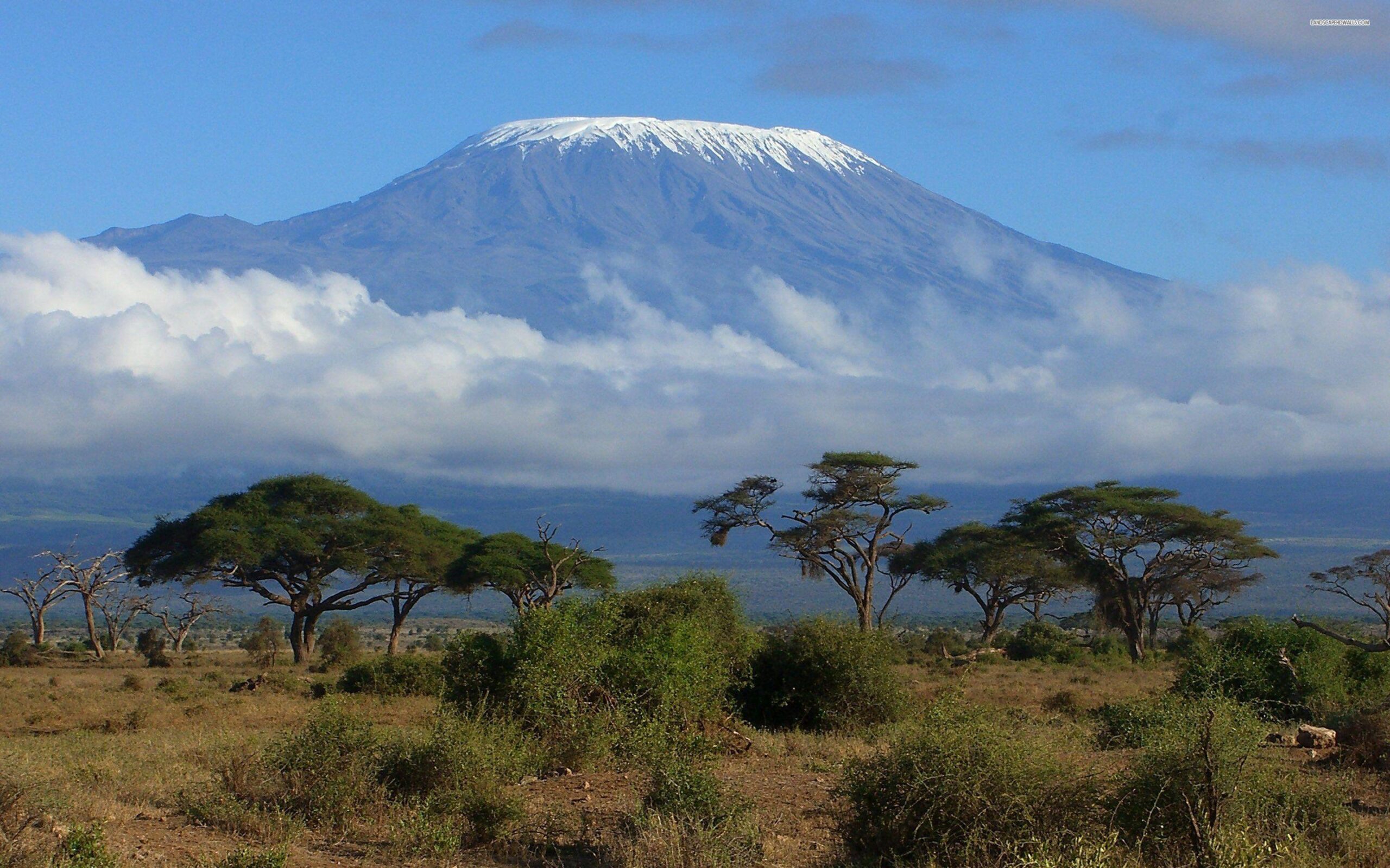 Mount Kilimanjaro 826407