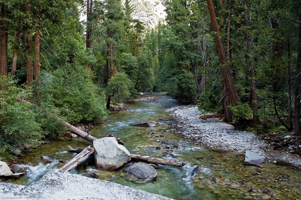 Kings Canyon National Park [USA, California] Nature Parks