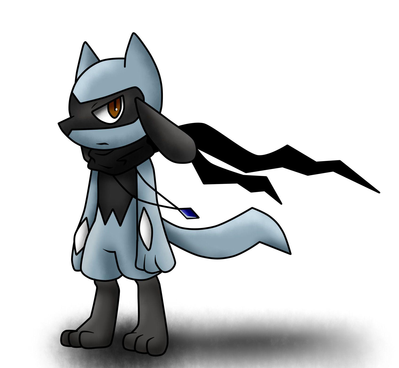 Name : Zero Species : Riolu Gender : male Level : 2 Sexuality