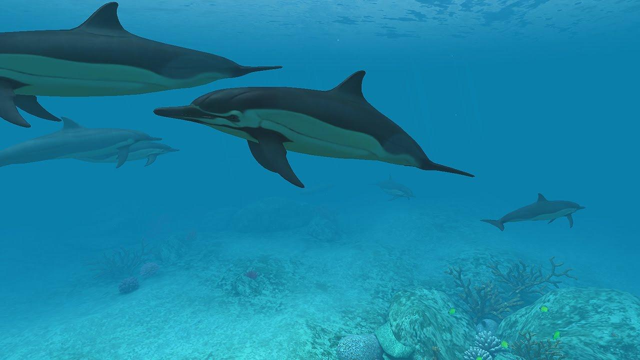 Dolphins 3D Screensaver & Live Wallpapers HD