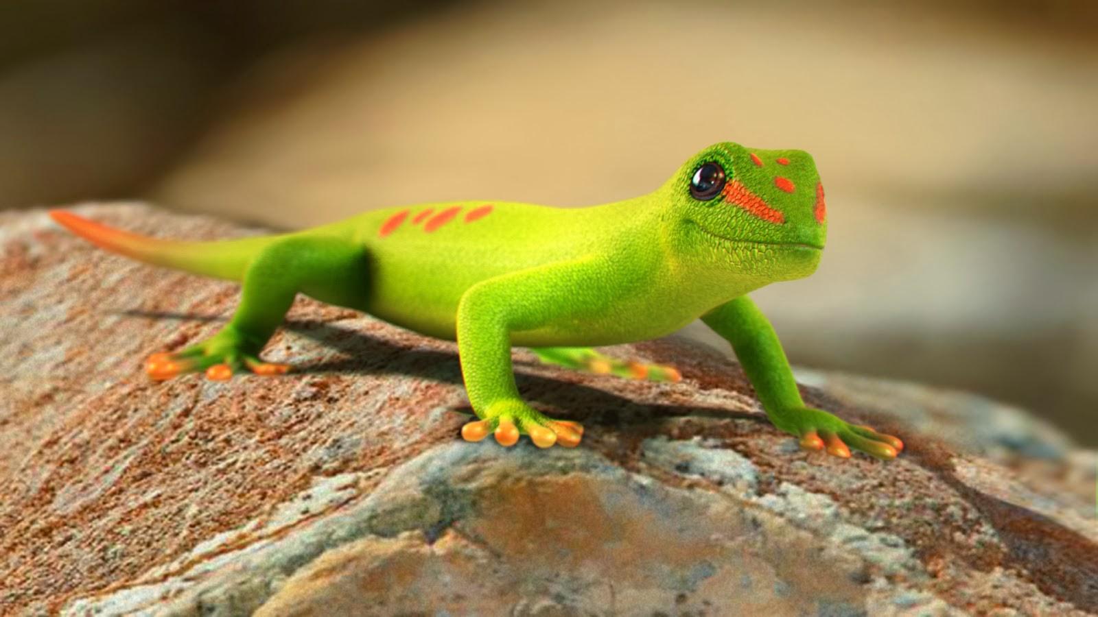 Gecko Wallpapers Desktop