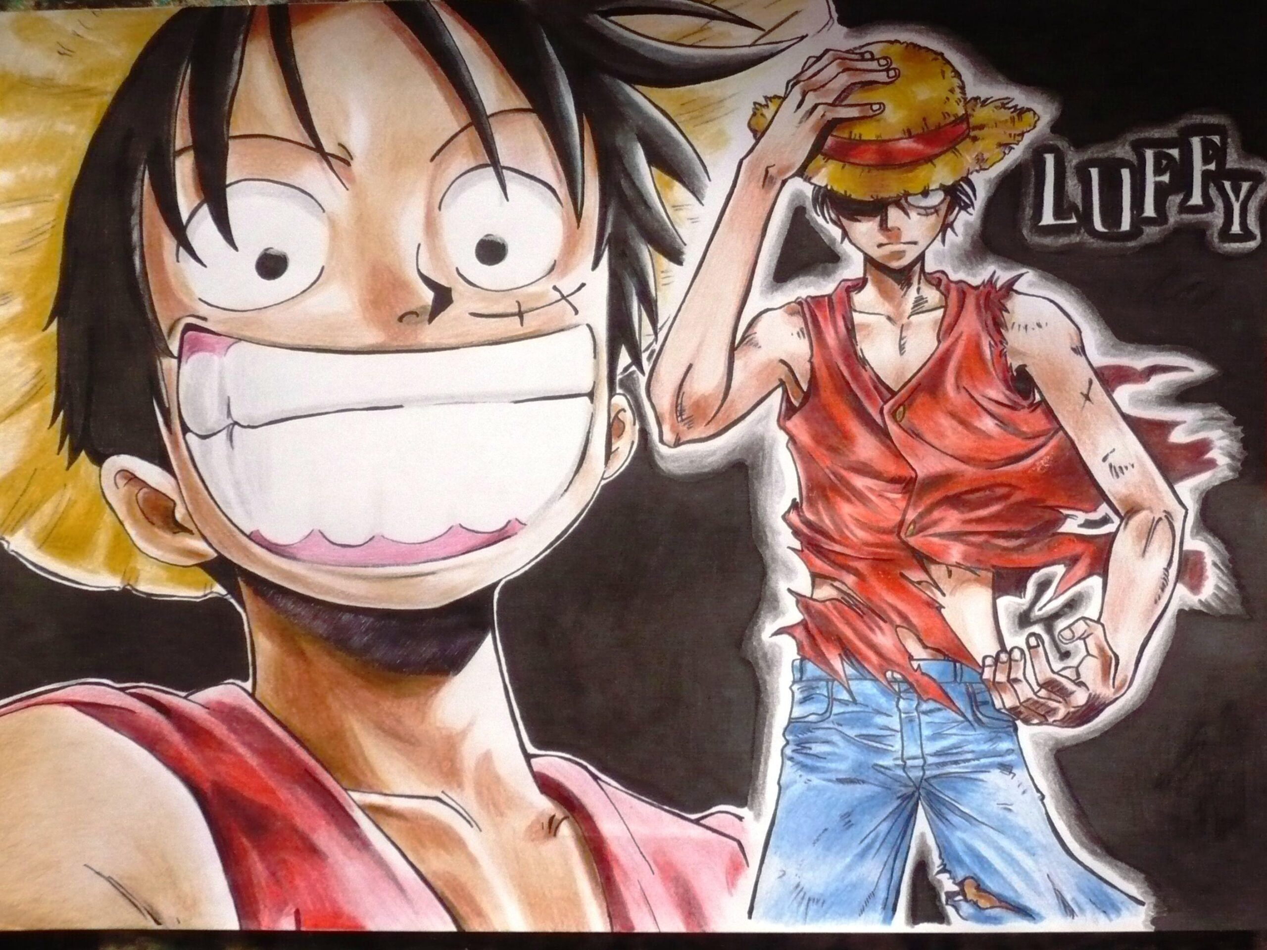 Monkey D Luffy Wallpapers : One Piece Crew Monkey D Luffy