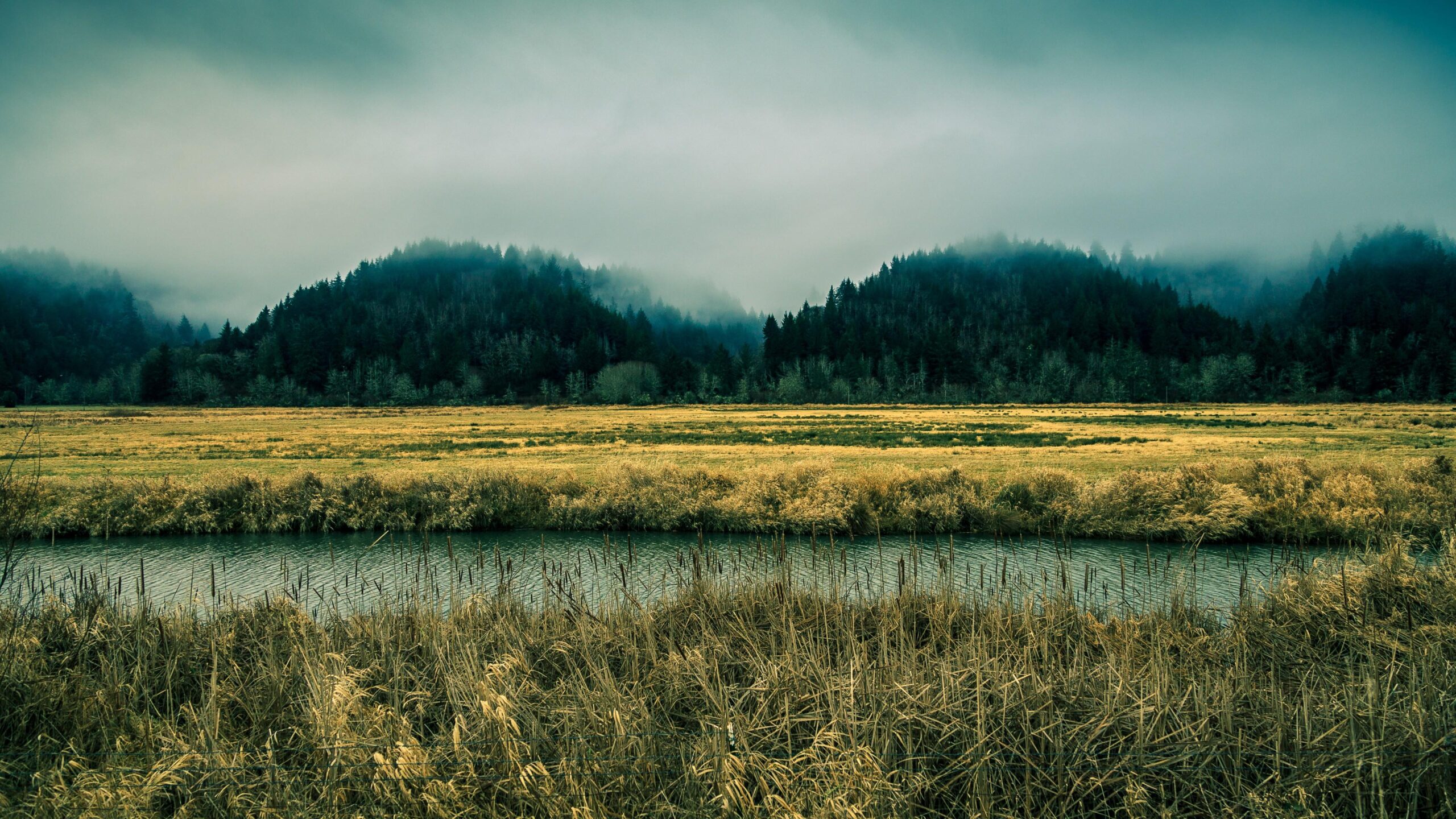 Wallpapers Oregon, 5k, 4k wallpaper, 8k, sky, river, fog, forest