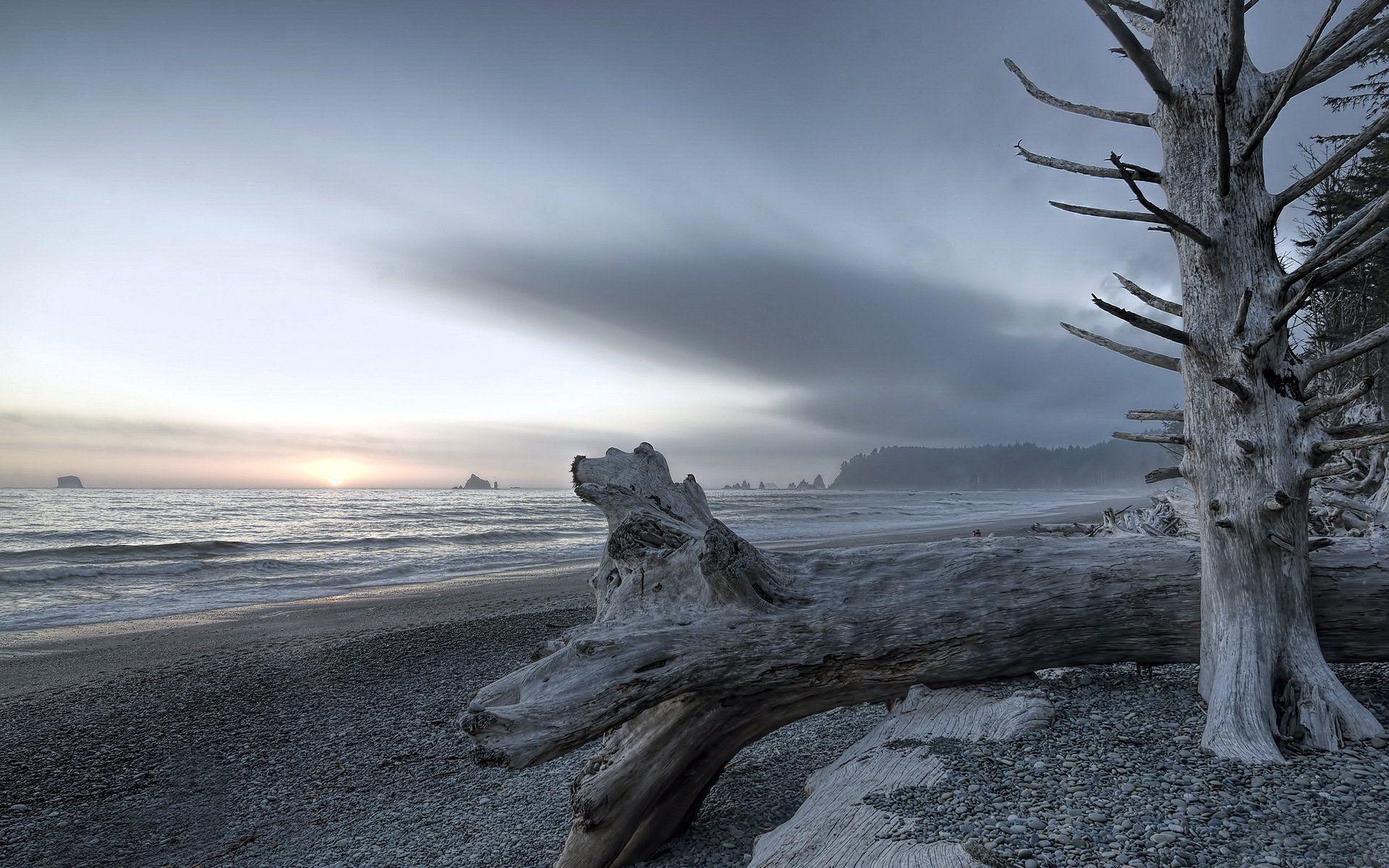 rialto beach olympic national park landscape HD wallpapers