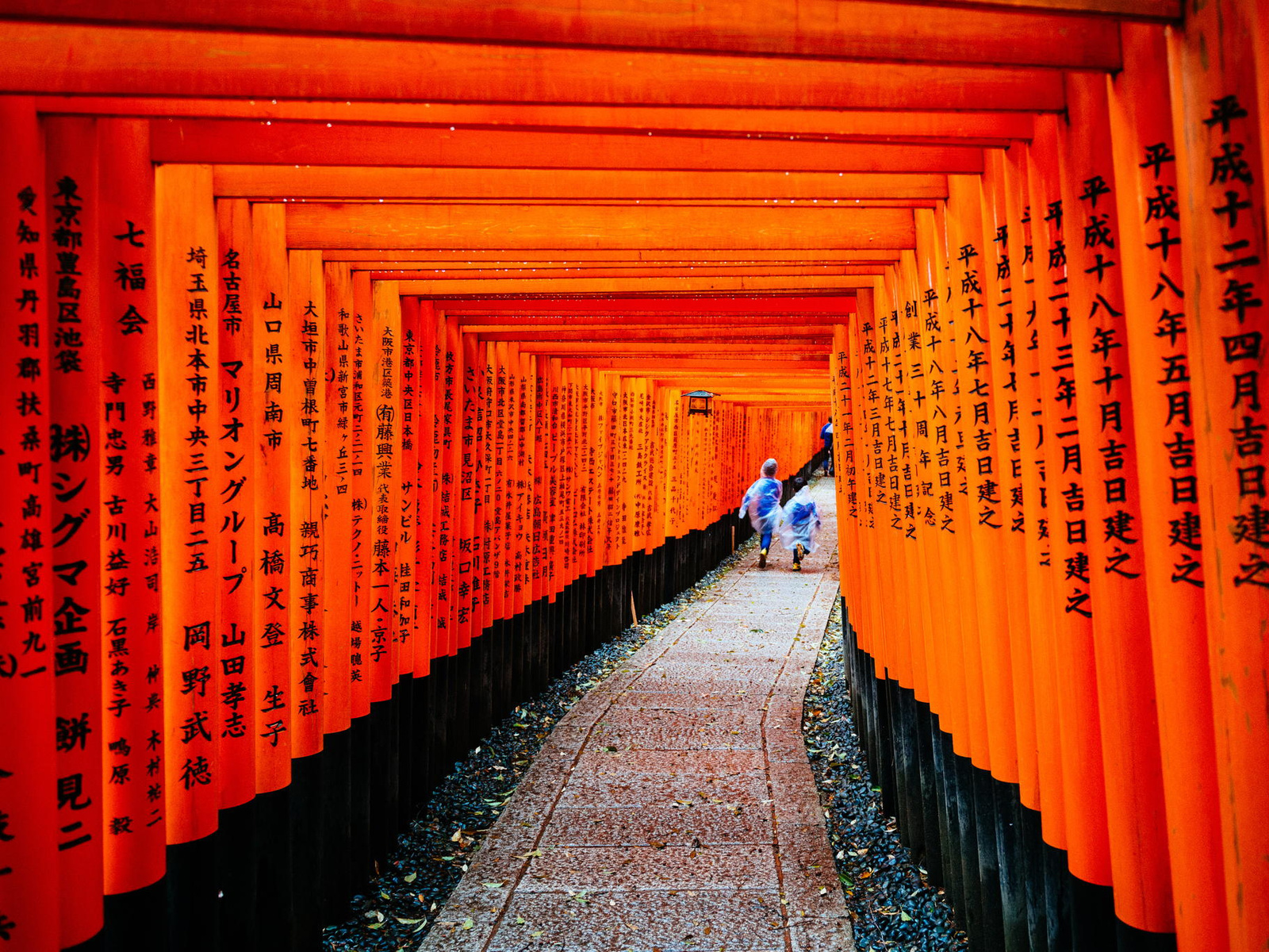 Japan, Memoirs Of A Geisha, Kyoto, Fushimi Inari Taisha