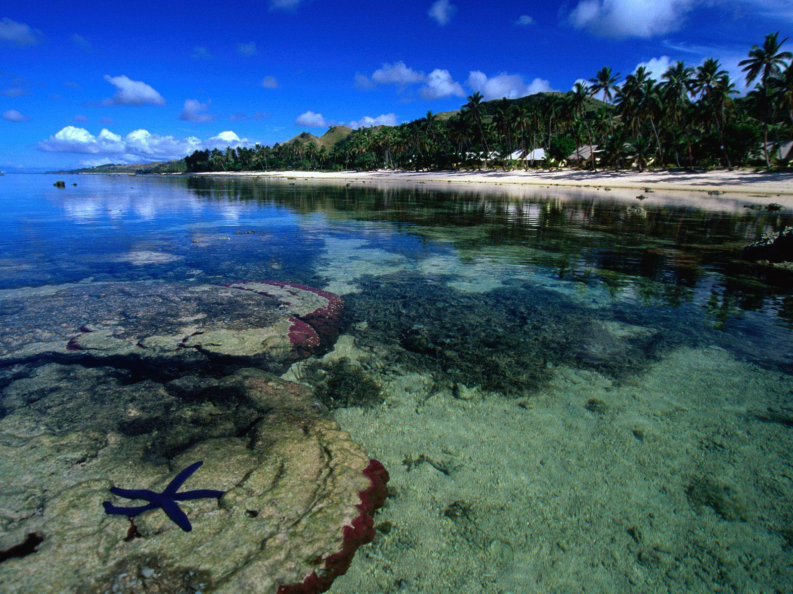 Fiji Island