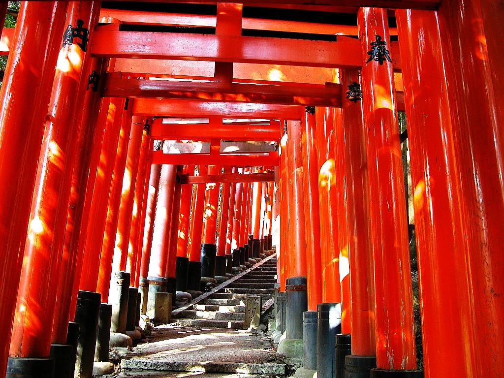 Torii Tag wallpapers: Shrine Gate Temple Japanese Forest Japan Torii