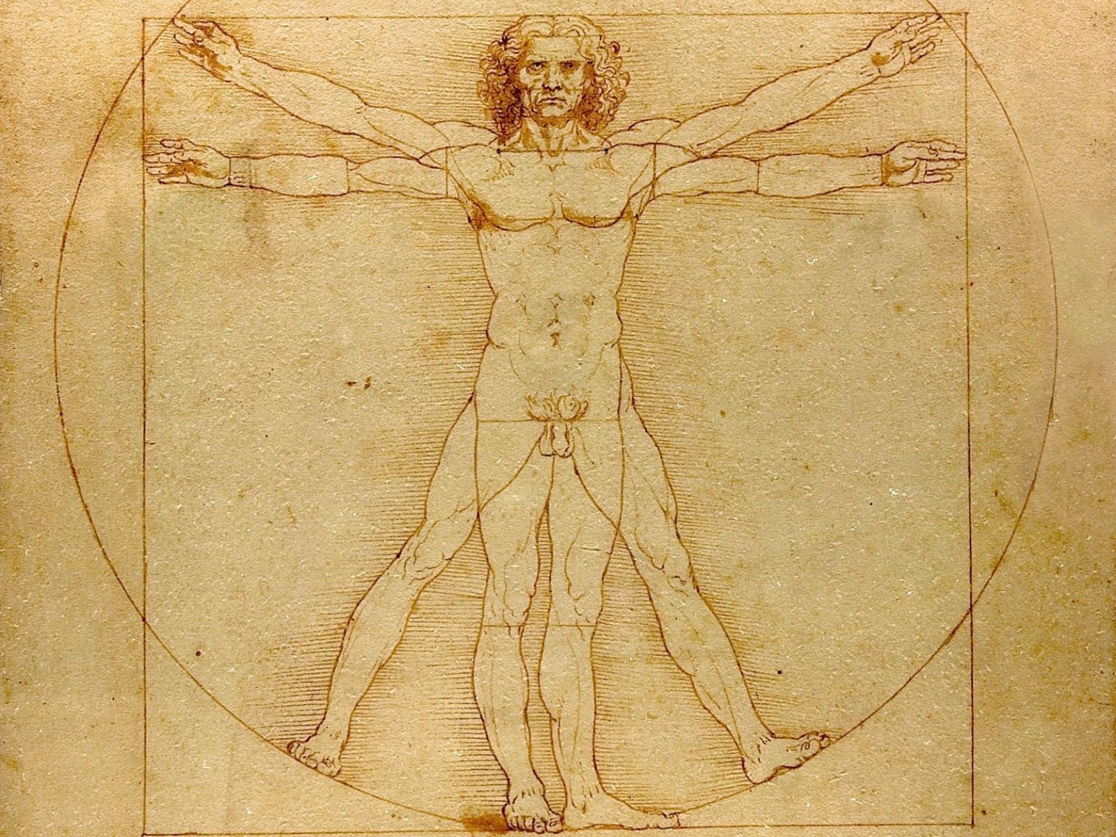 Vitruvian Man Leonardo Da Vinci Fresh New Hd Wallpapers [Your Popular