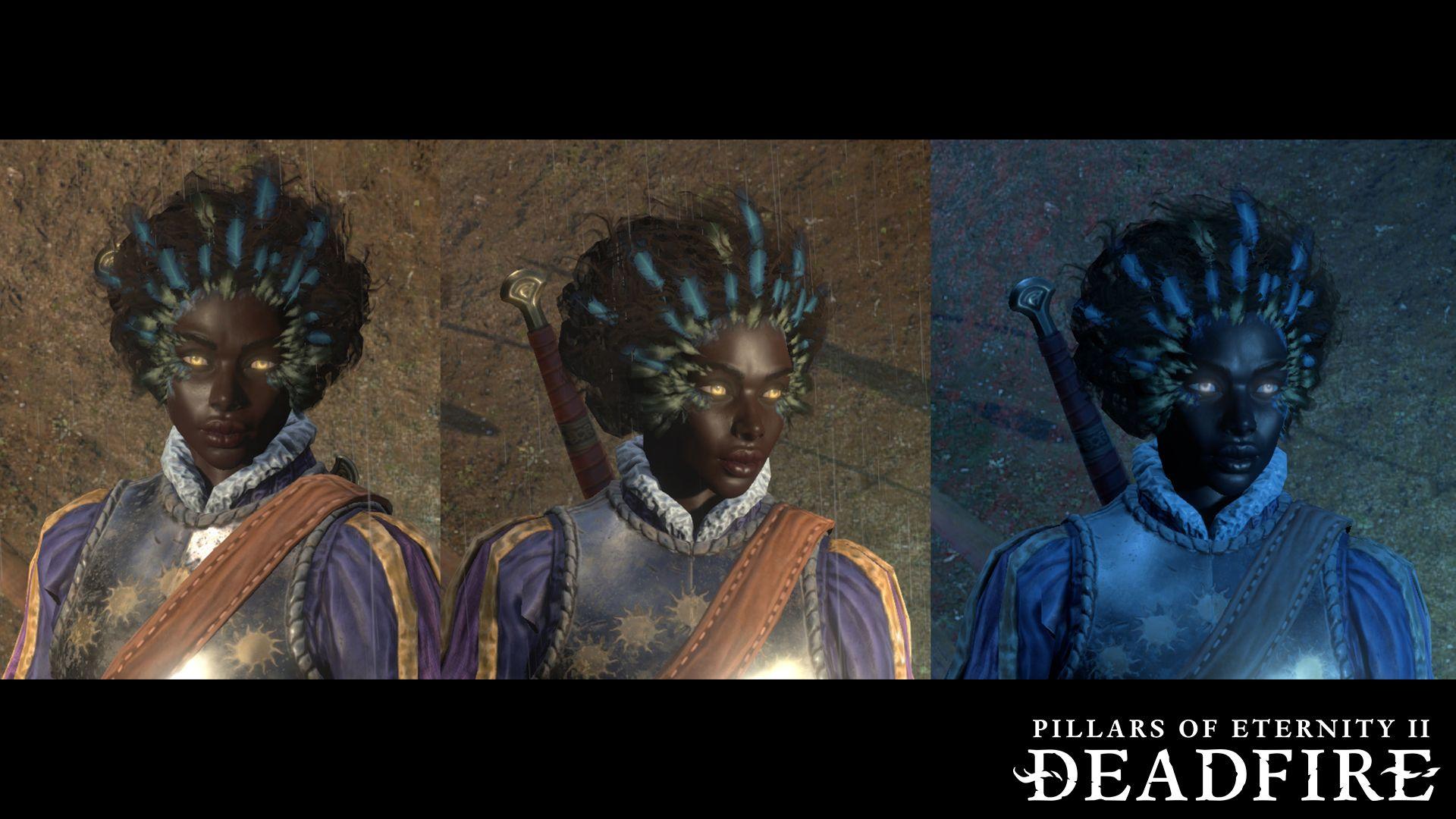 Pillars of Eternity II: Deadfire: Backer Rewards on Fig