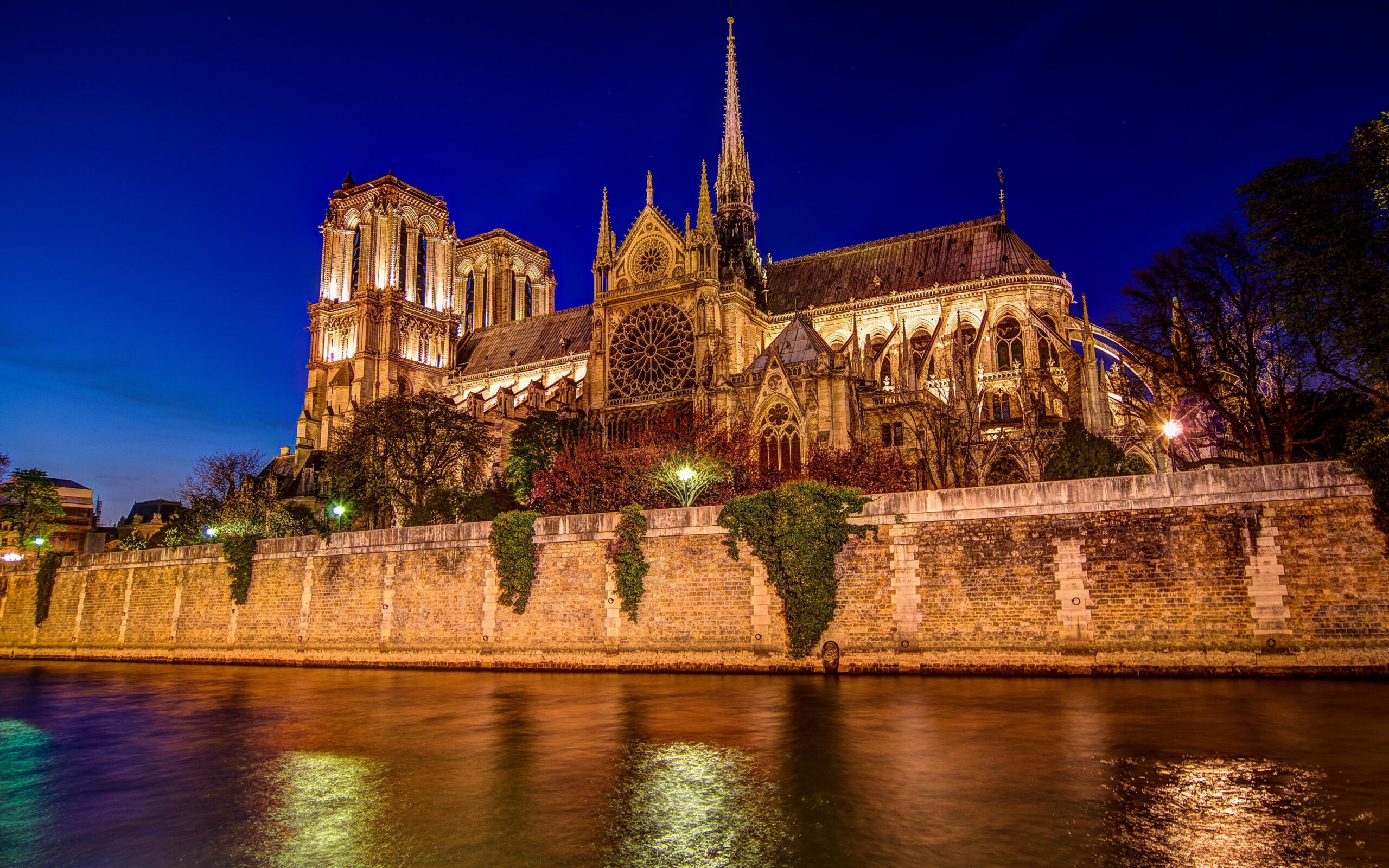 Picture Paris Cathedral France Notre Dame cathedral Night