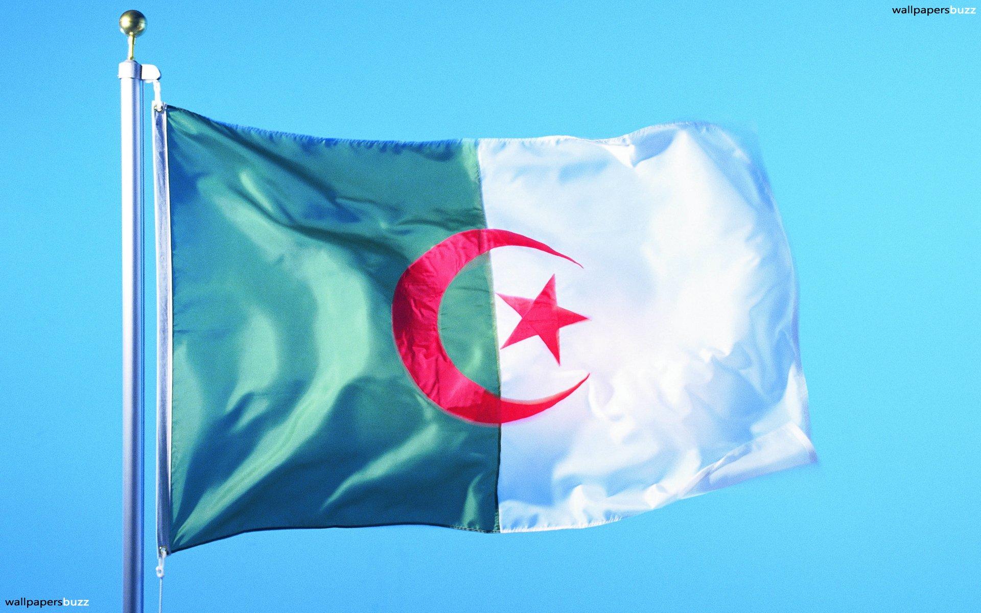 The flag of Algeria HD Wallpapers