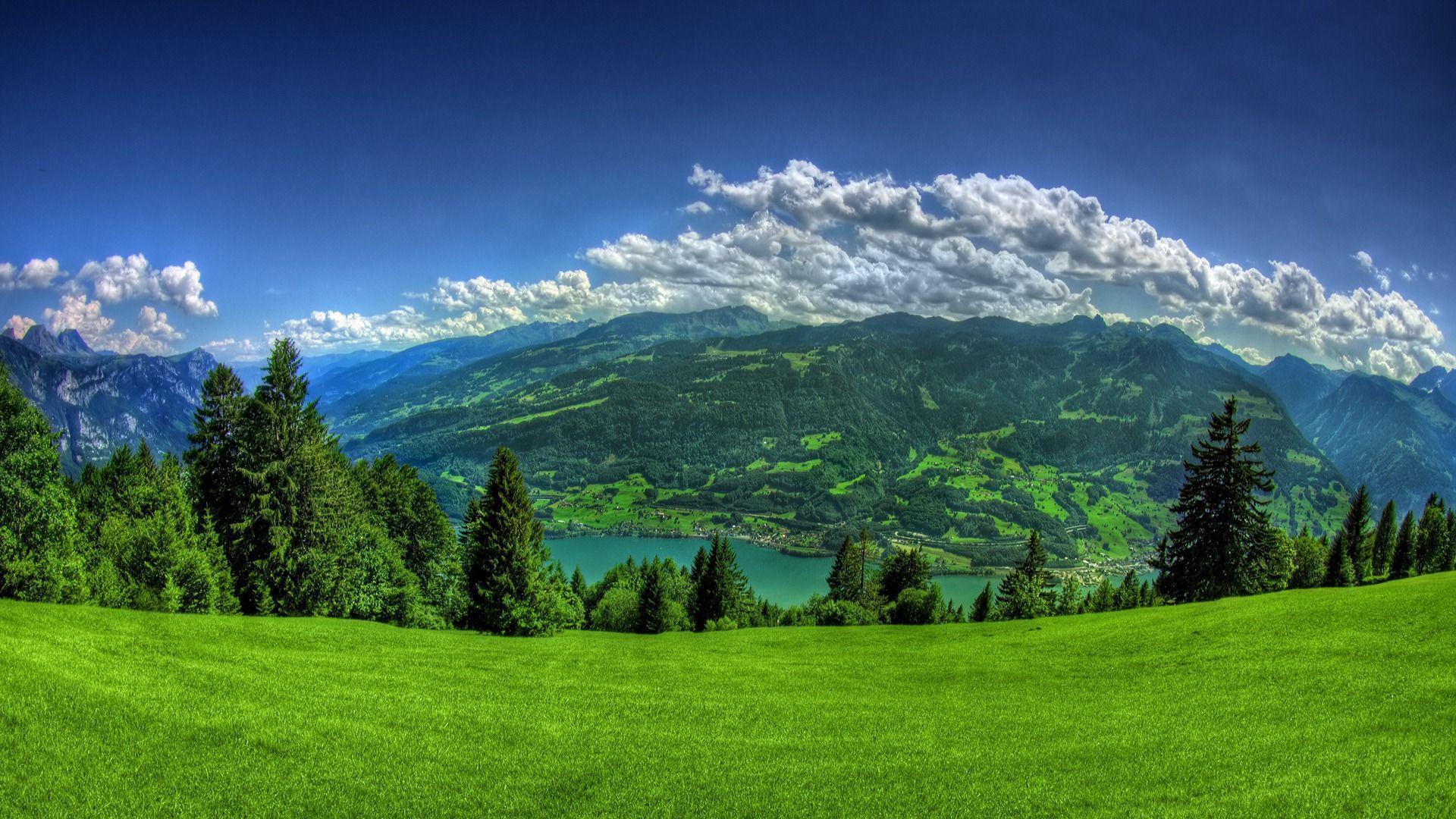 Download Meadow HD Wallpapers for Free, BsnSCB