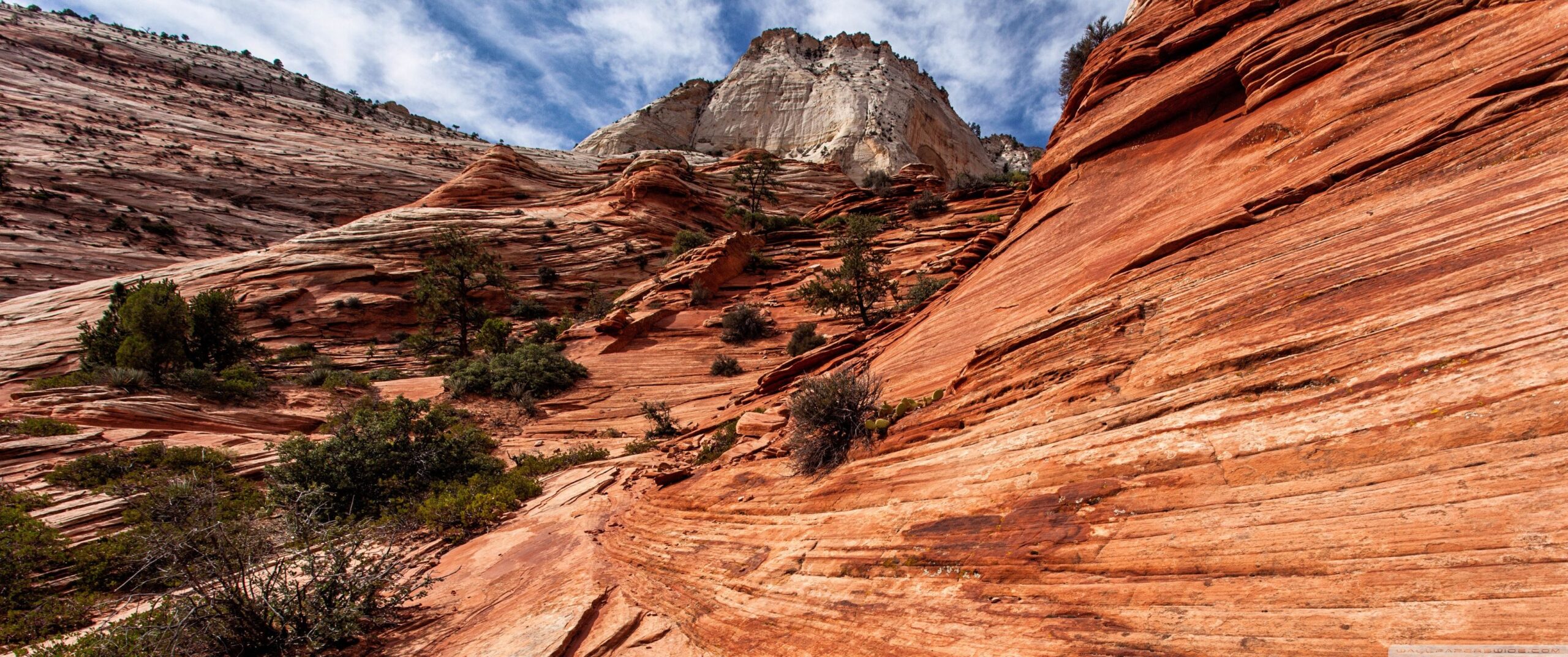 Zion National Park, Utah HD desktop wallpapers : Widescreen : High