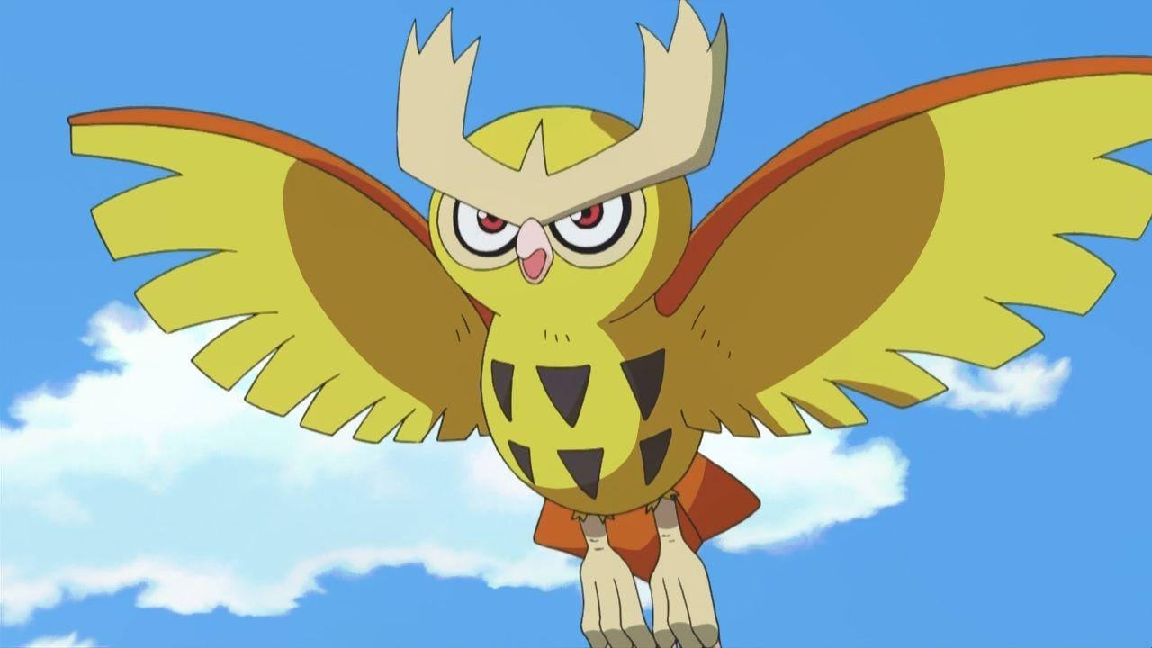 Noctowl