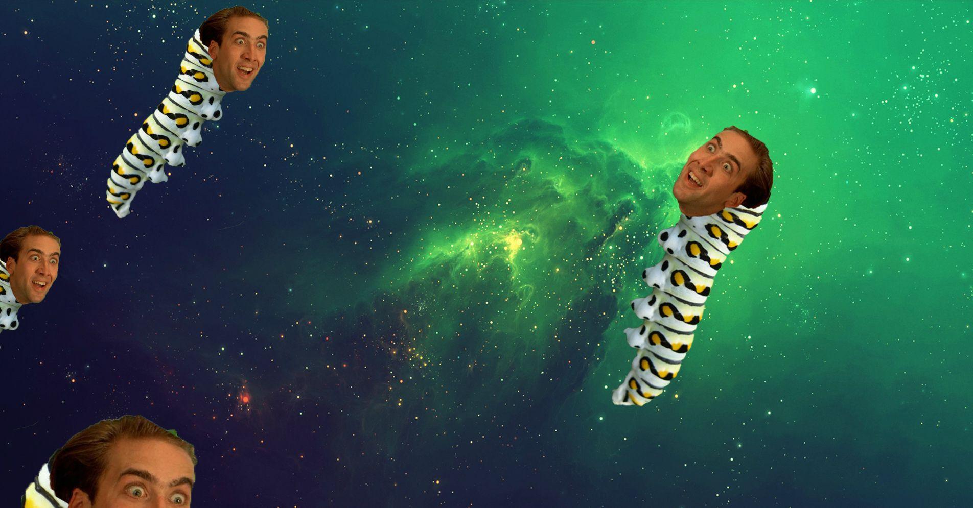 I like space, caterpillars, and Nicolas Cage… : wallpapers