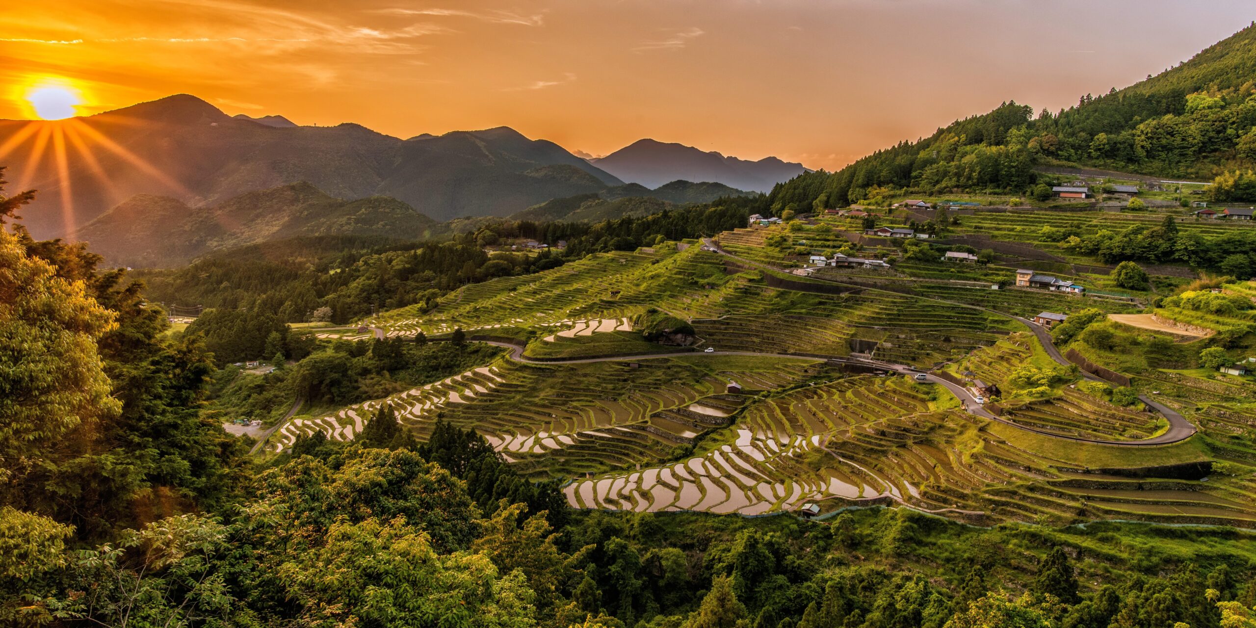 100+ Engaging Banaue Rice Terraces Photos