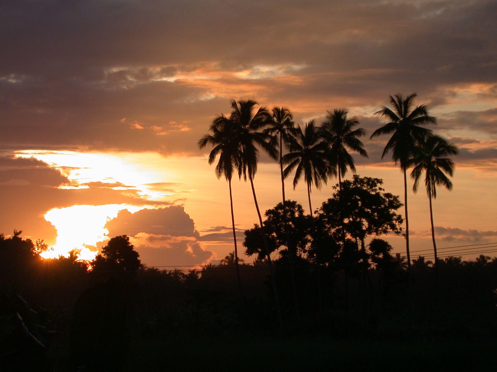 Papua New Guinea