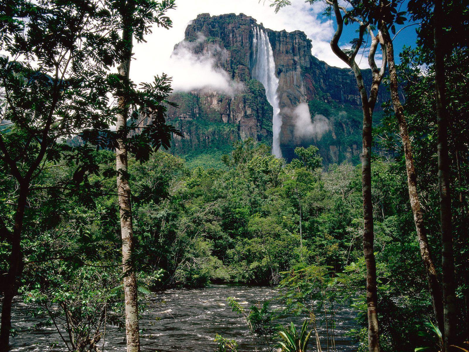 Angel Falls