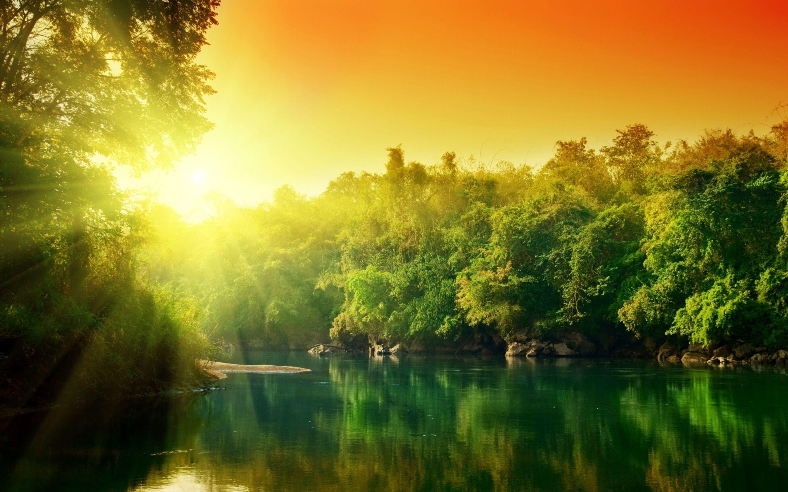 Amazon Rainforest Full HD Wallpapers Wallpapers