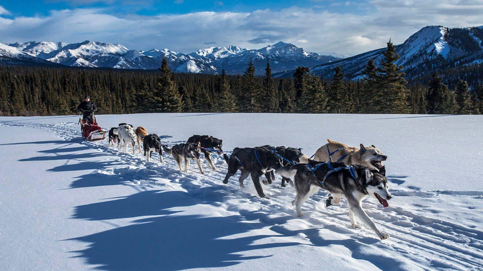 Happy Birthday, Denali · National Parks Conservation Association