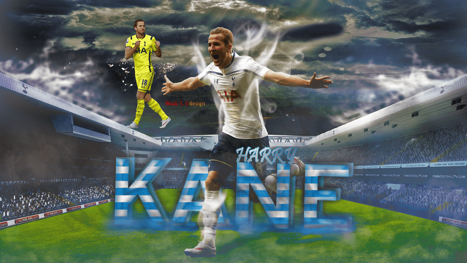 Harry Kane Wallpapers