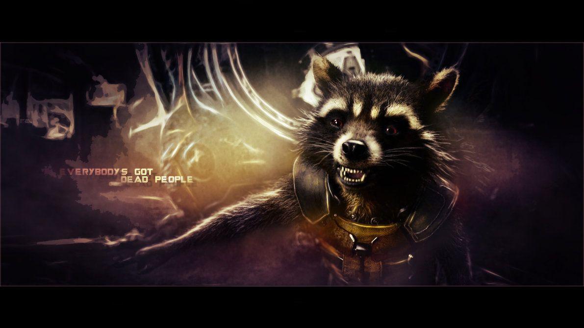 Raccoon Wallpapers