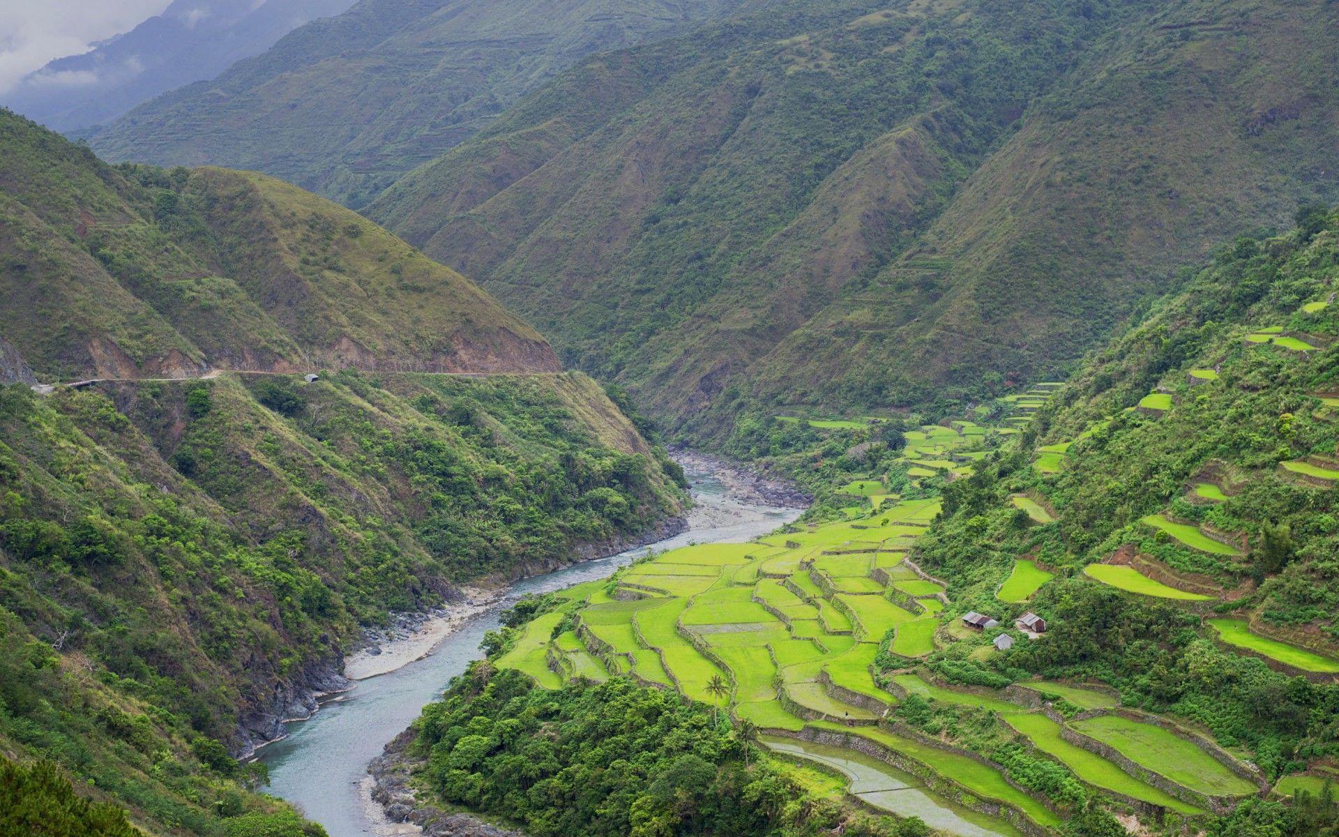 Rice Terraces Philippines wallpapers