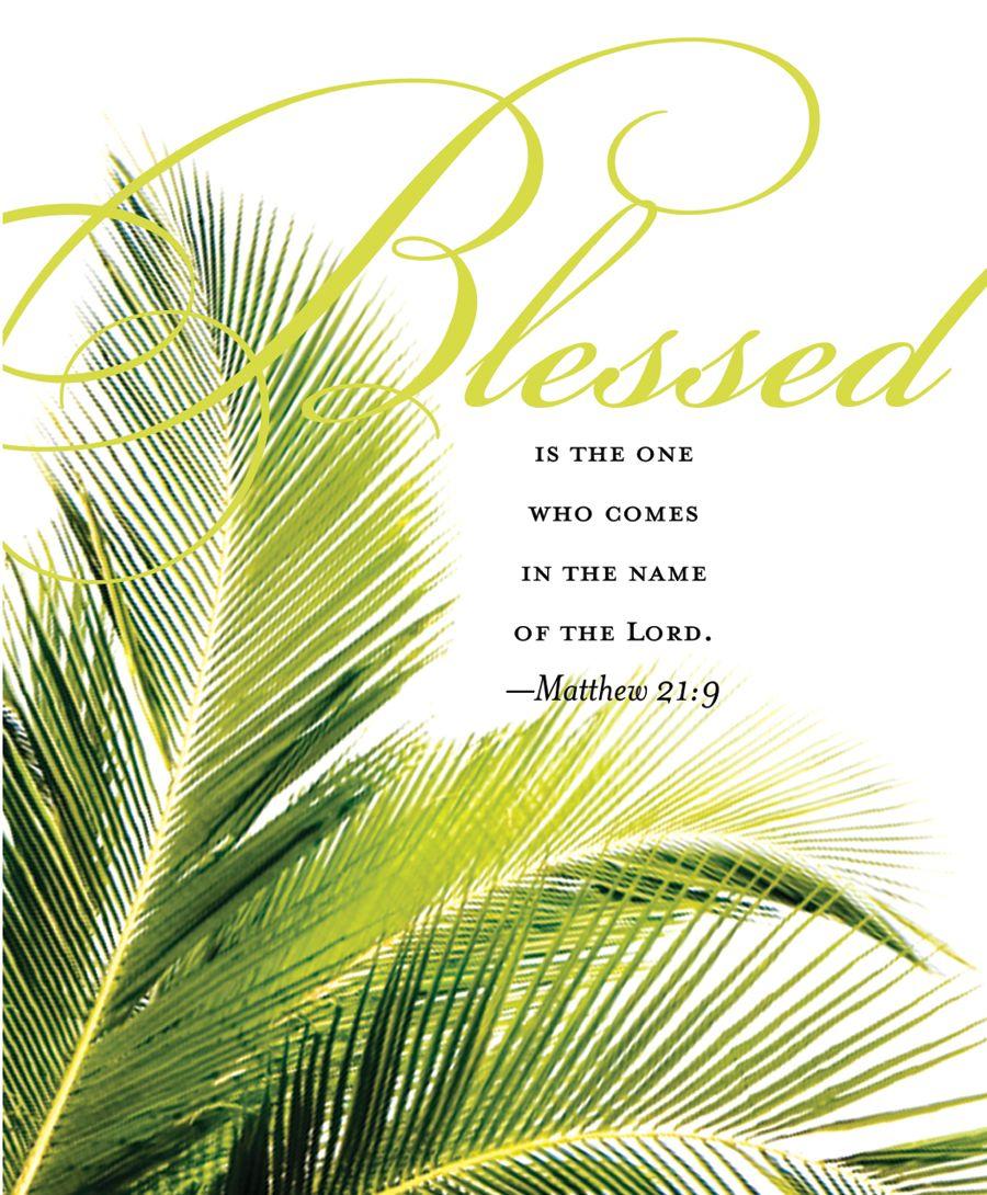 palm sunday … all this week, I pray we will take time each