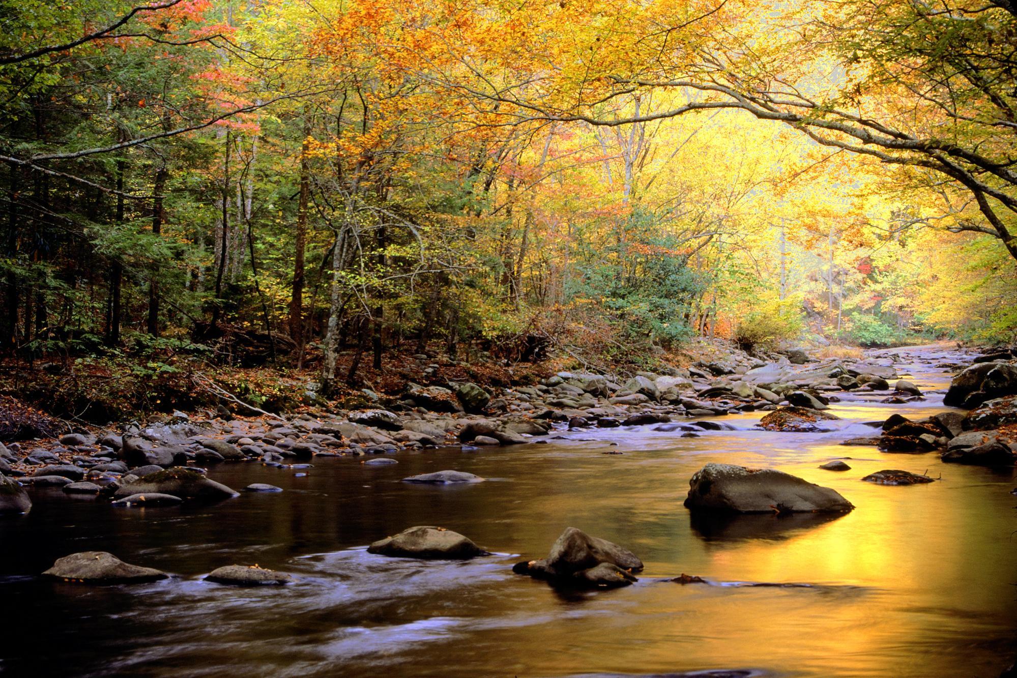 px Great Smoky Mountains National Park