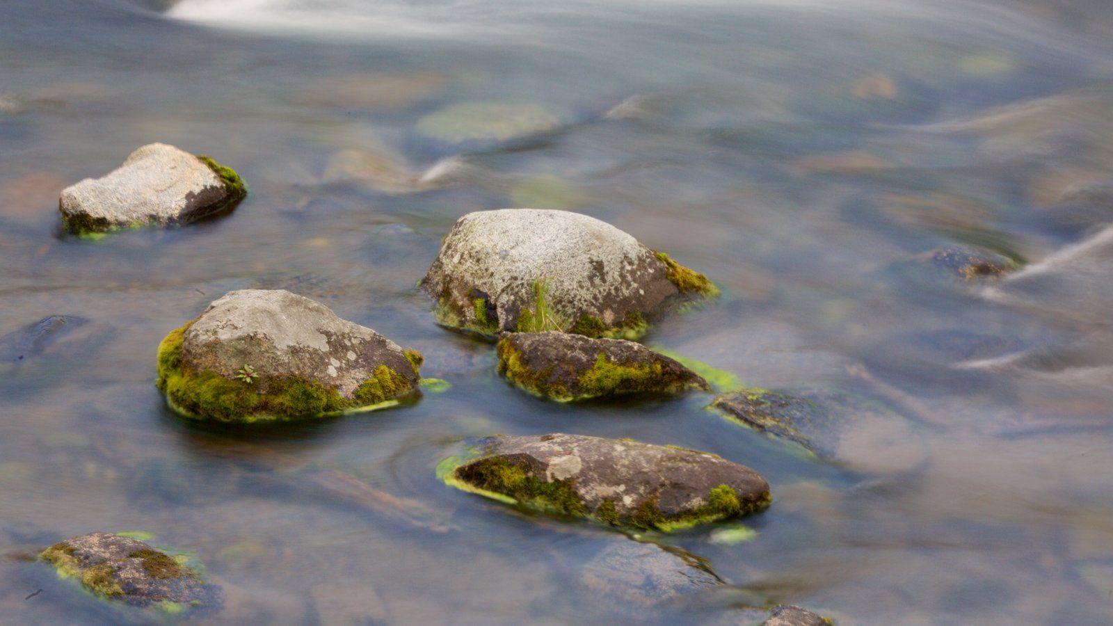 Katmai National Park and Preserve Pictures: View Photos & Image